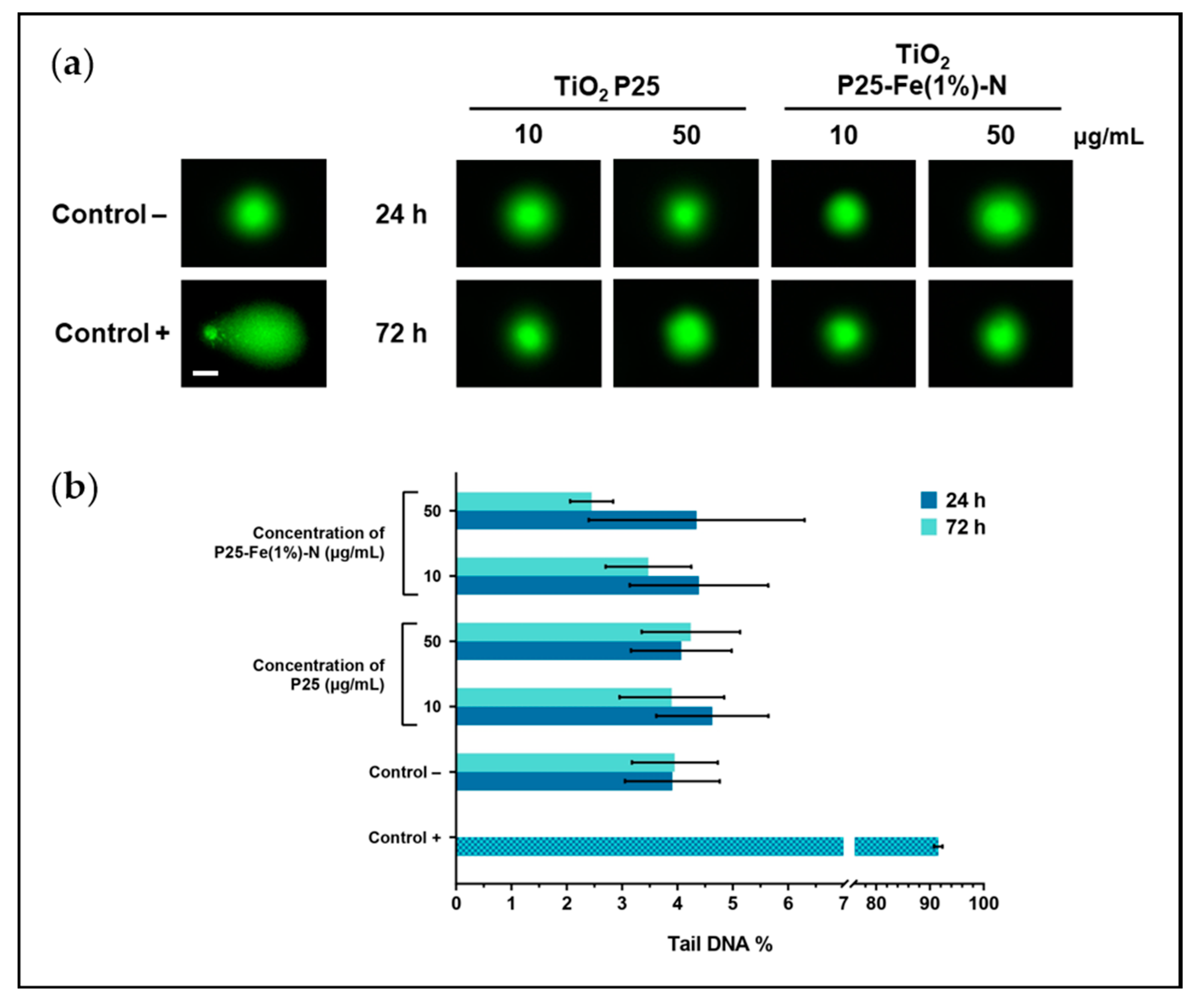 Ijms 24 06401 g006 Ijms 24 06401 g006