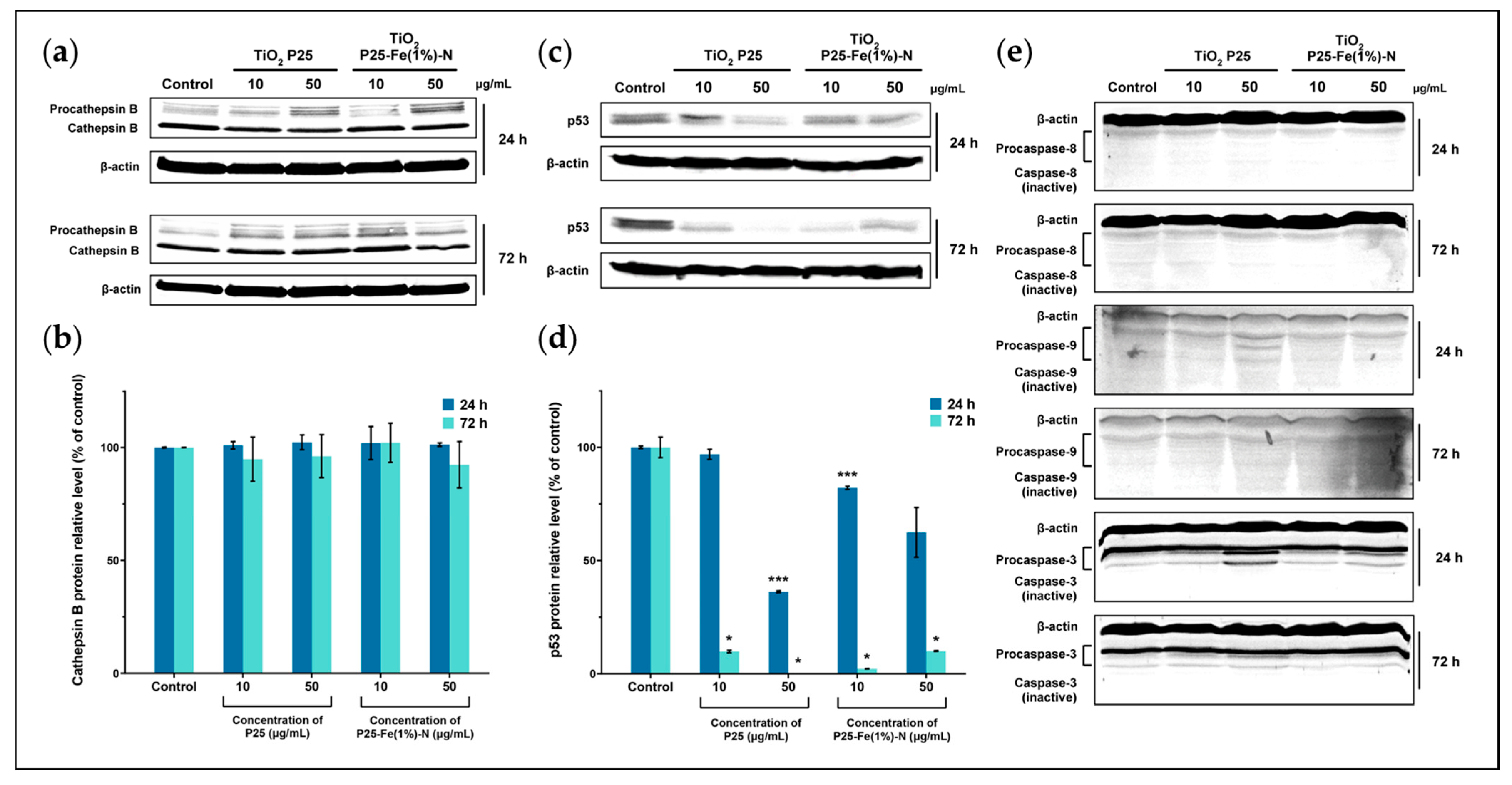 Ijms 24 06401 g007 Ijms 24 06401 g007