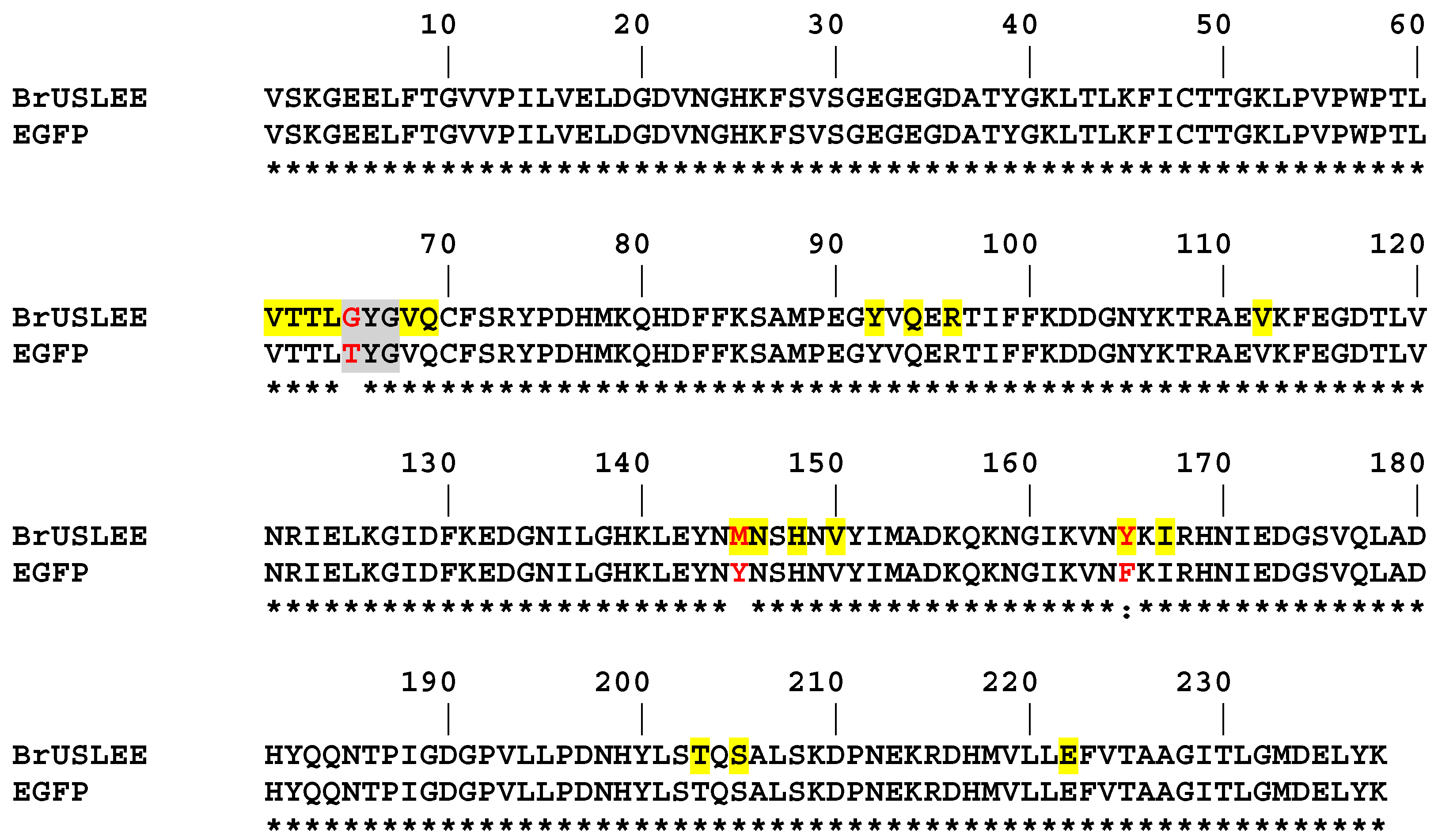 Ijms 24 06403 g001 Ijms 24 06403 g001