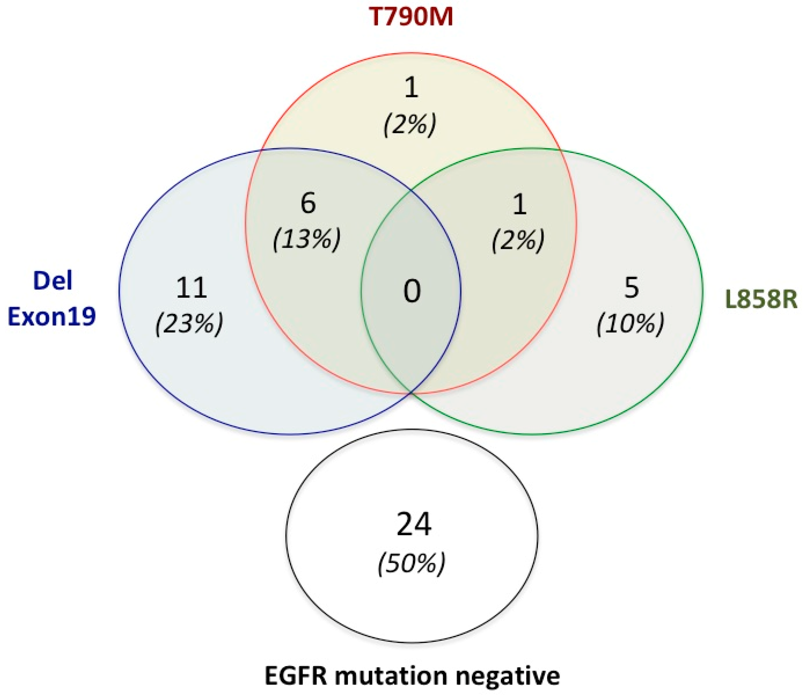 Ijms 24 06410 g001 Ijms 24 06410 g001