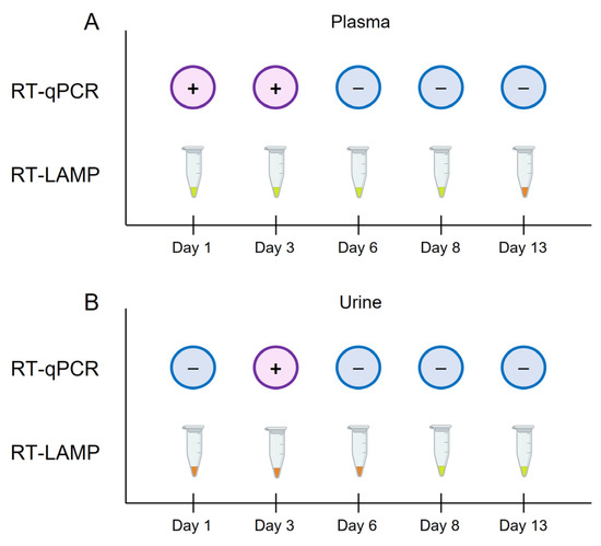 クリスタル Raman Spectra and Strain Effects in Bismuth Oxychalcogenides