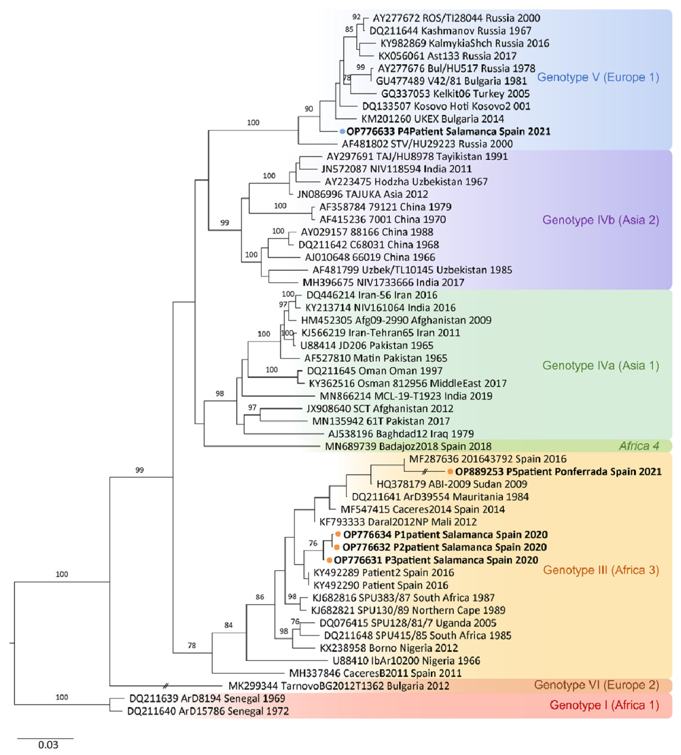 クリスタル A Novel RT-LAMP for the Detection of Different Genotypes of
