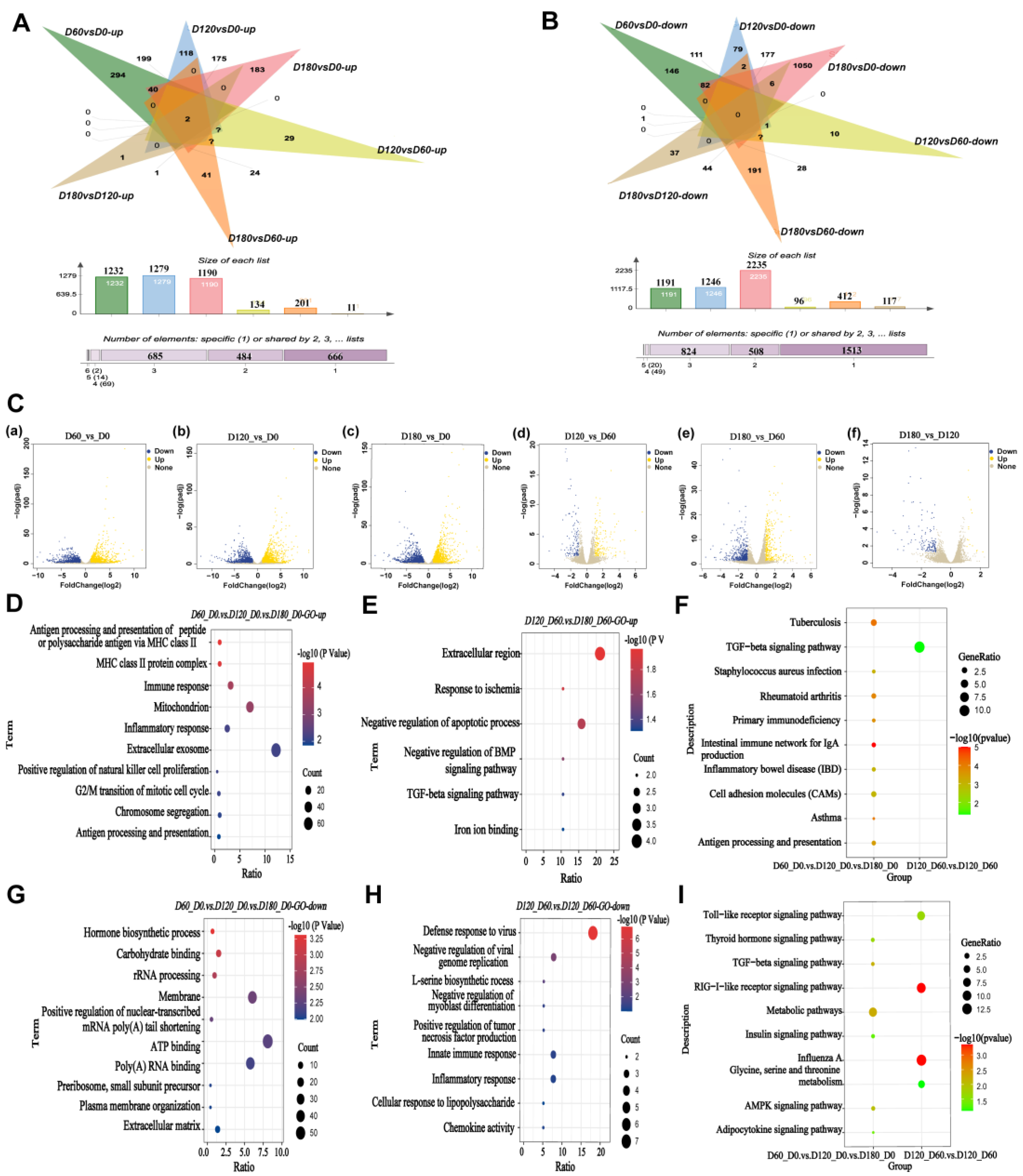 Ijms 24 06413 g002 Ijms 24 06413 g002