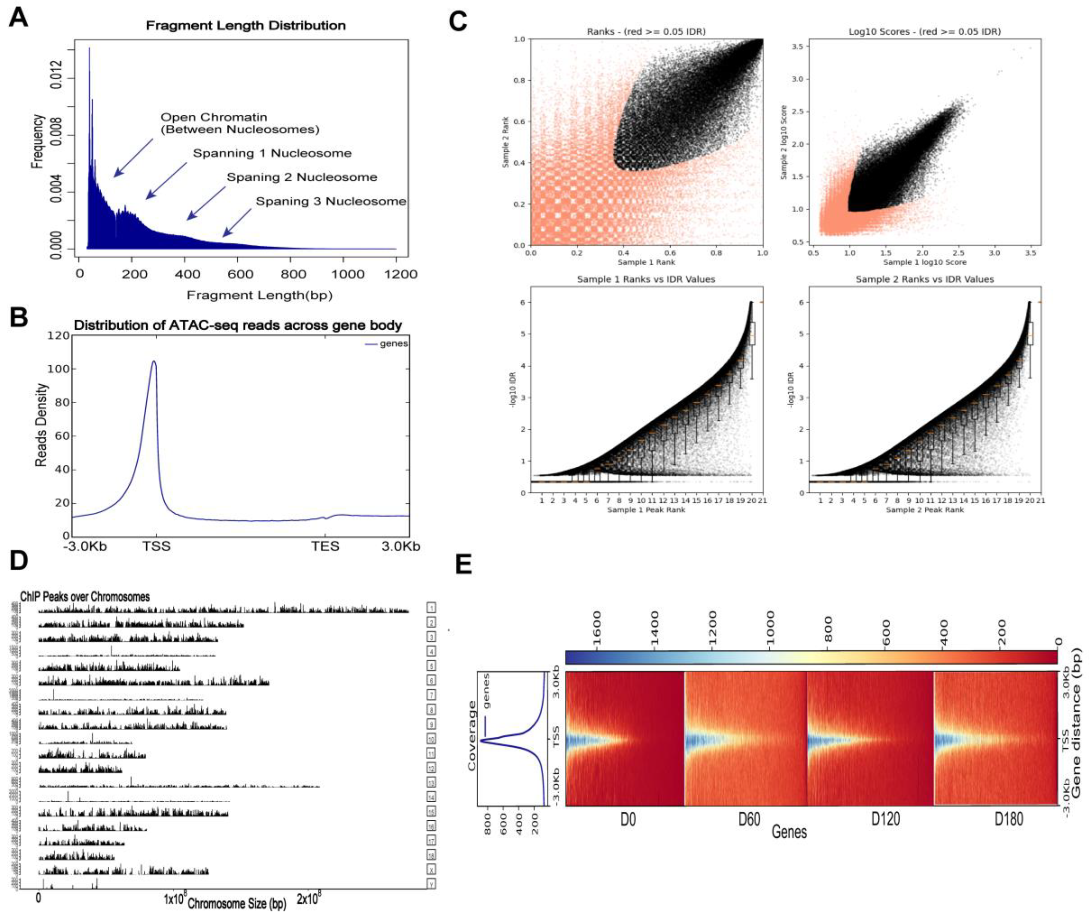 Ijms 24 06413 g004 Ijms 24 06413 g004