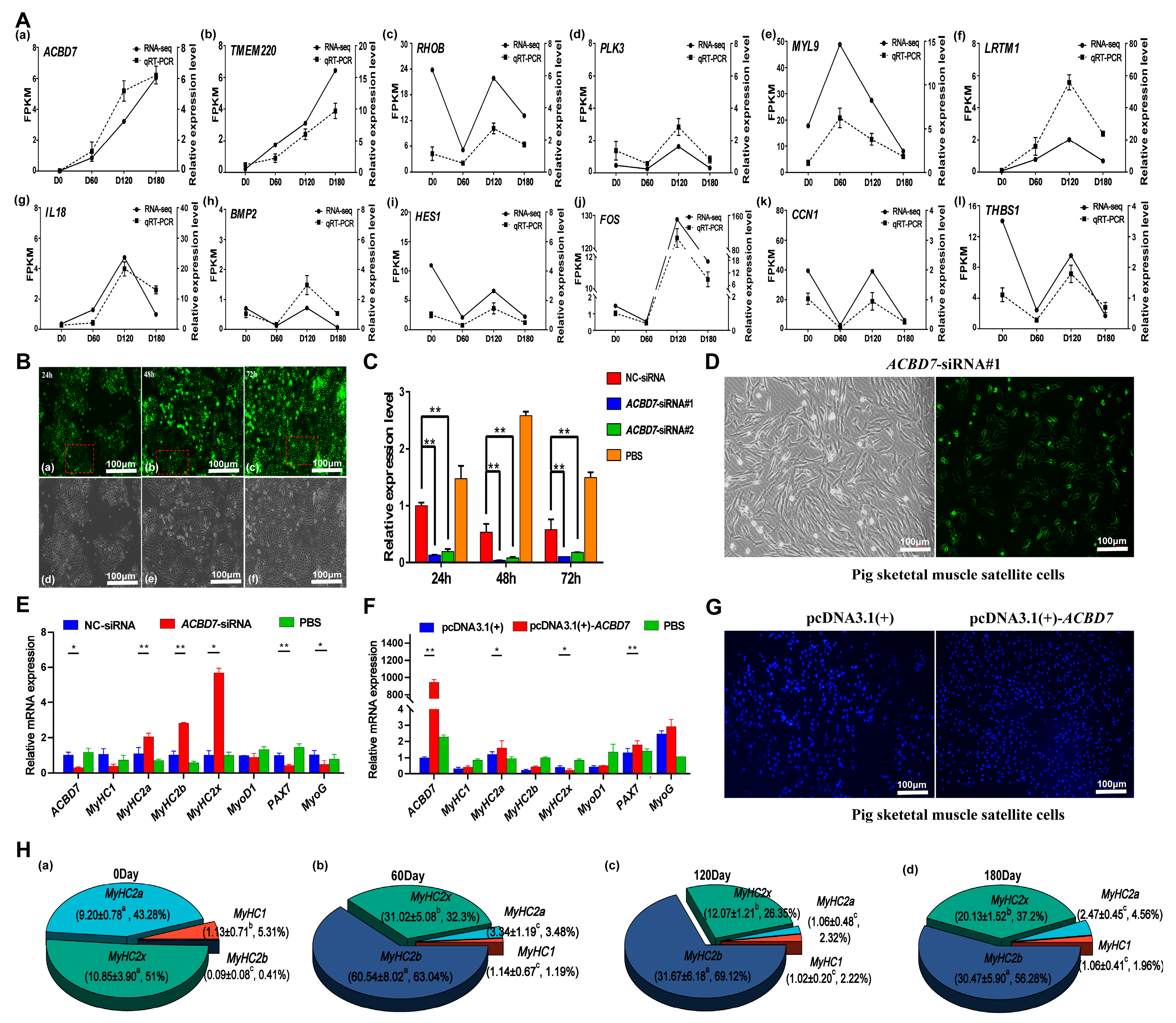 Ijms 24 06413 g008 Ijms 24 06413 g008
