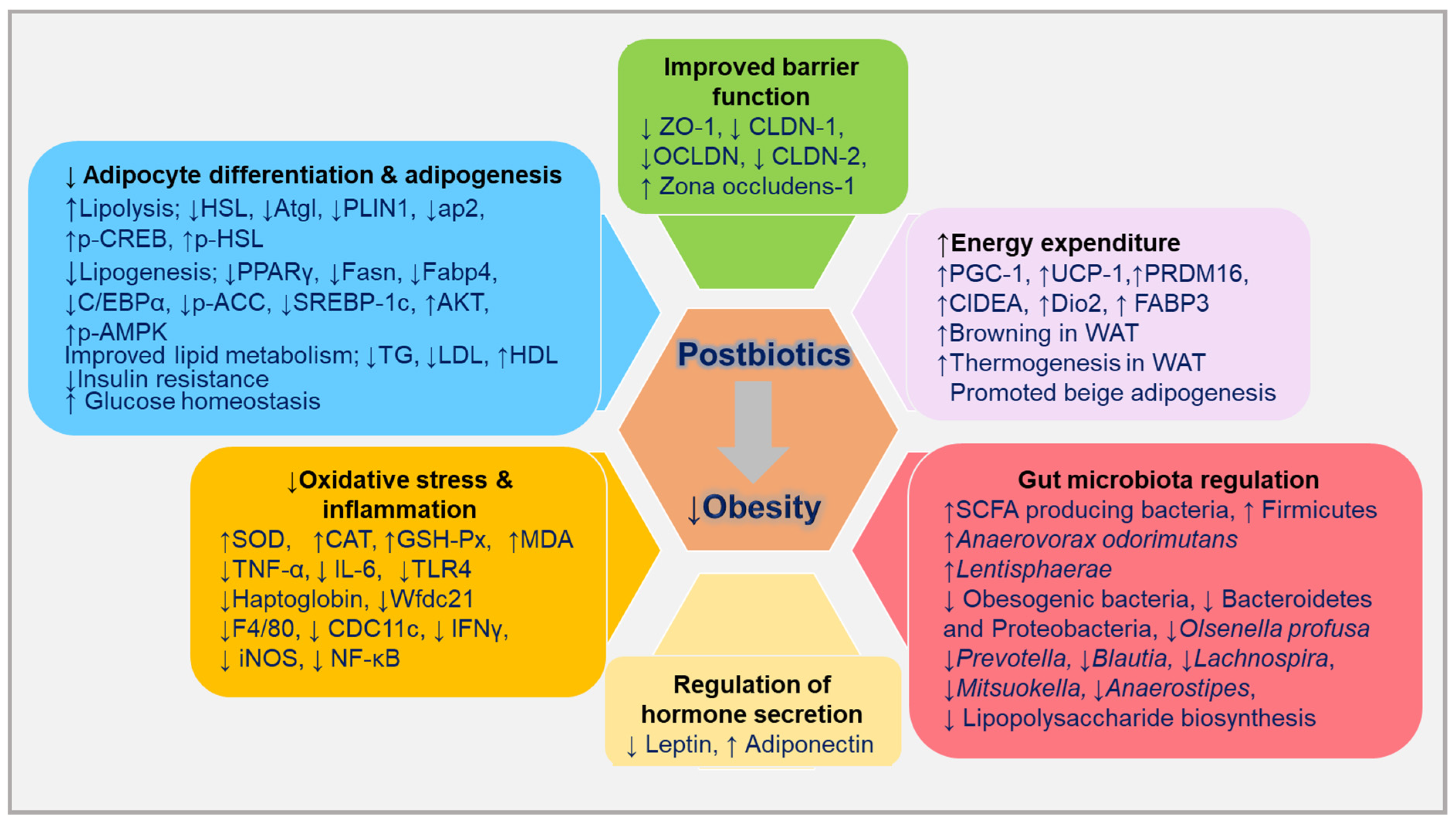 Ijms 24 06414 g002 Ijms 24 06414 g002