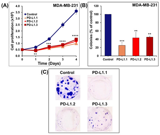 PD-1 Independent Role of PD-L1 in Triple-Negative Breast Cancer Progression