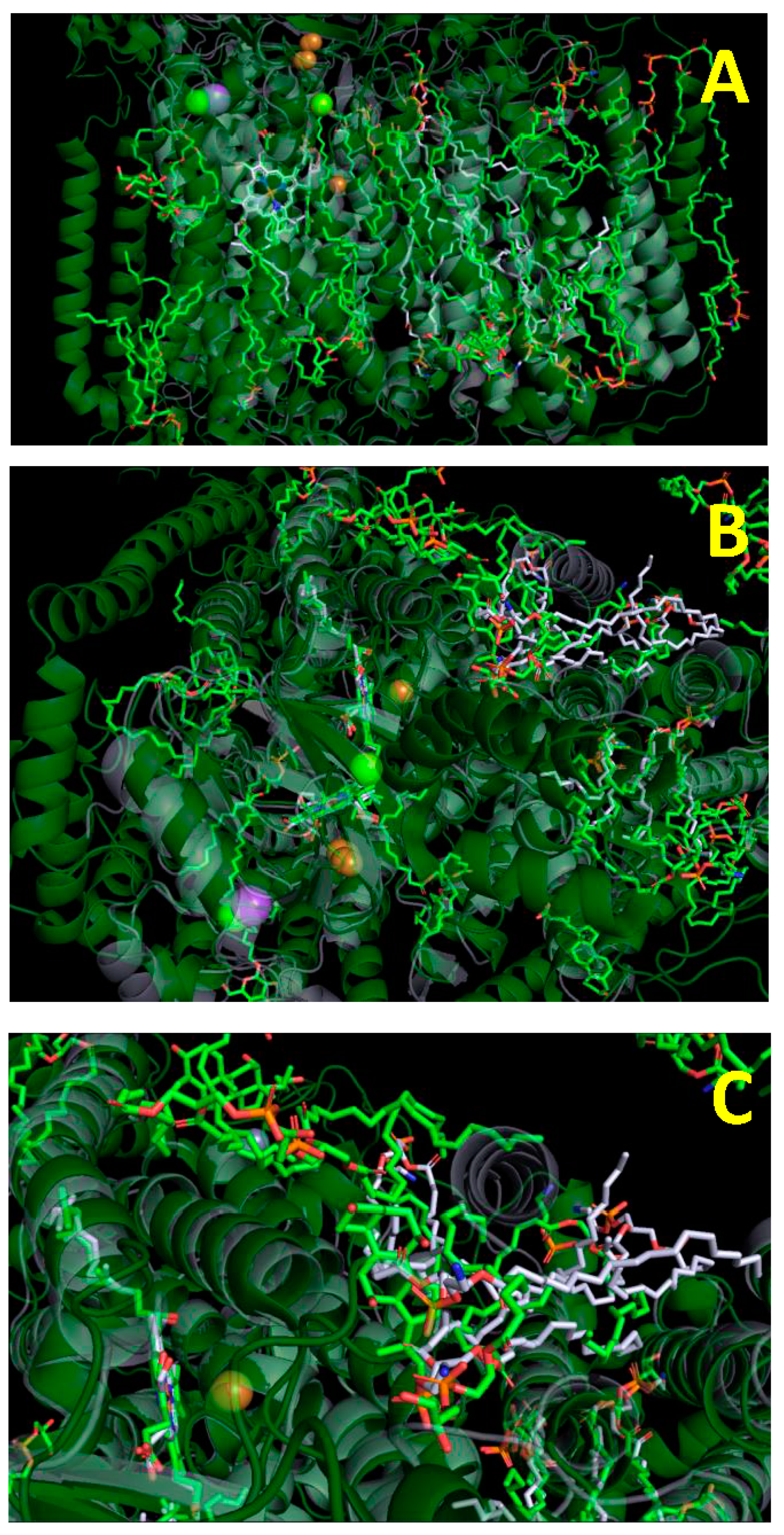 Ijms 24 06428 g001 Ijms 24 06428 g001