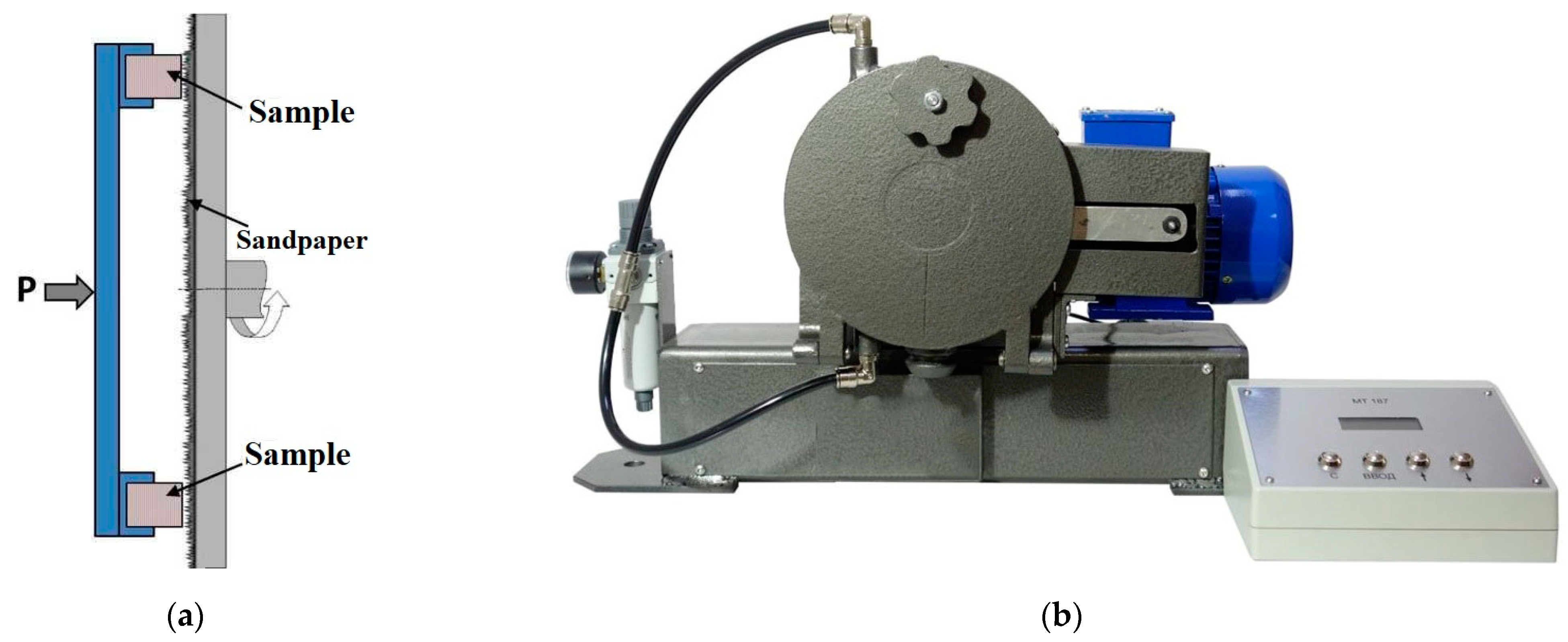 Ijms 24 06432 g001 Ijms 24 06432 g001