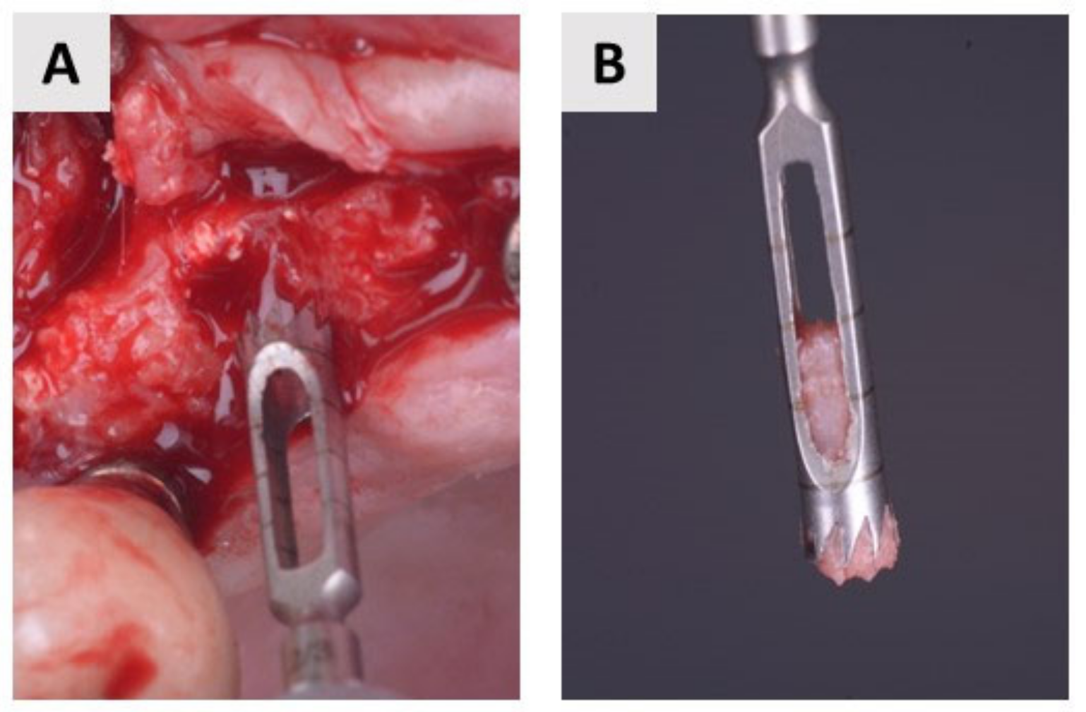 Ijms 24 06440 g006 Ijms 24 06440 g006