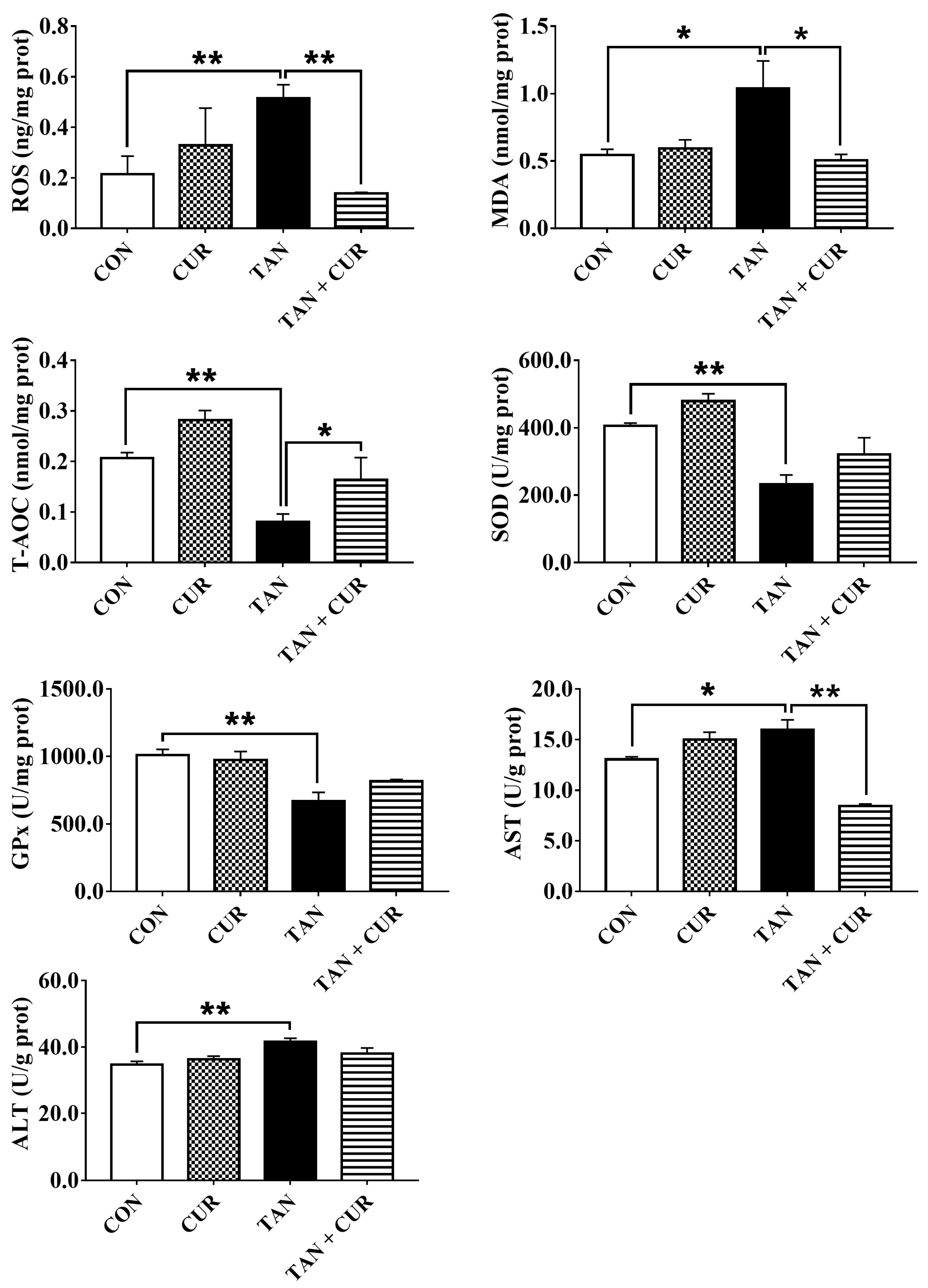 Ijms 24 06441 g002 Ijms 24 06441 g002