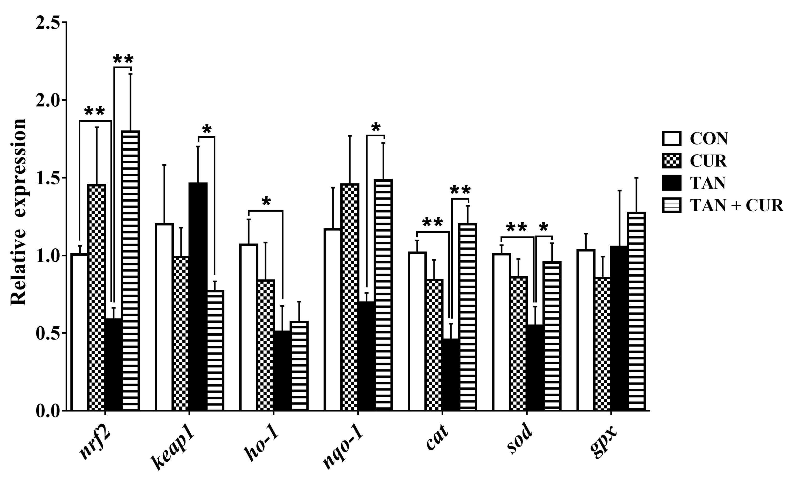 Ijms 24 06441 g004 Ijms 24 06441 g004