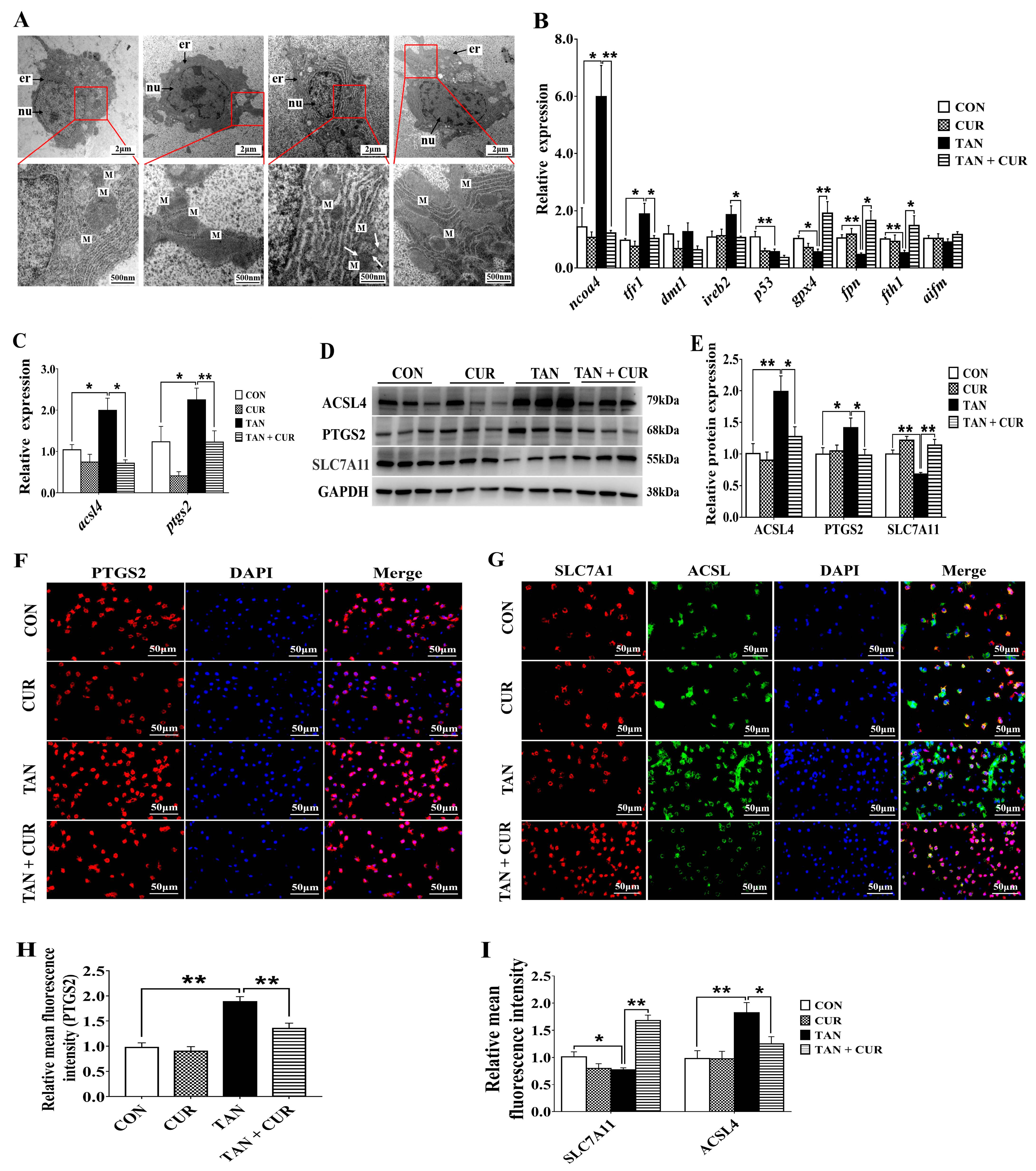 Ijms 24 06441 g005 Ijms 24 06441 g005