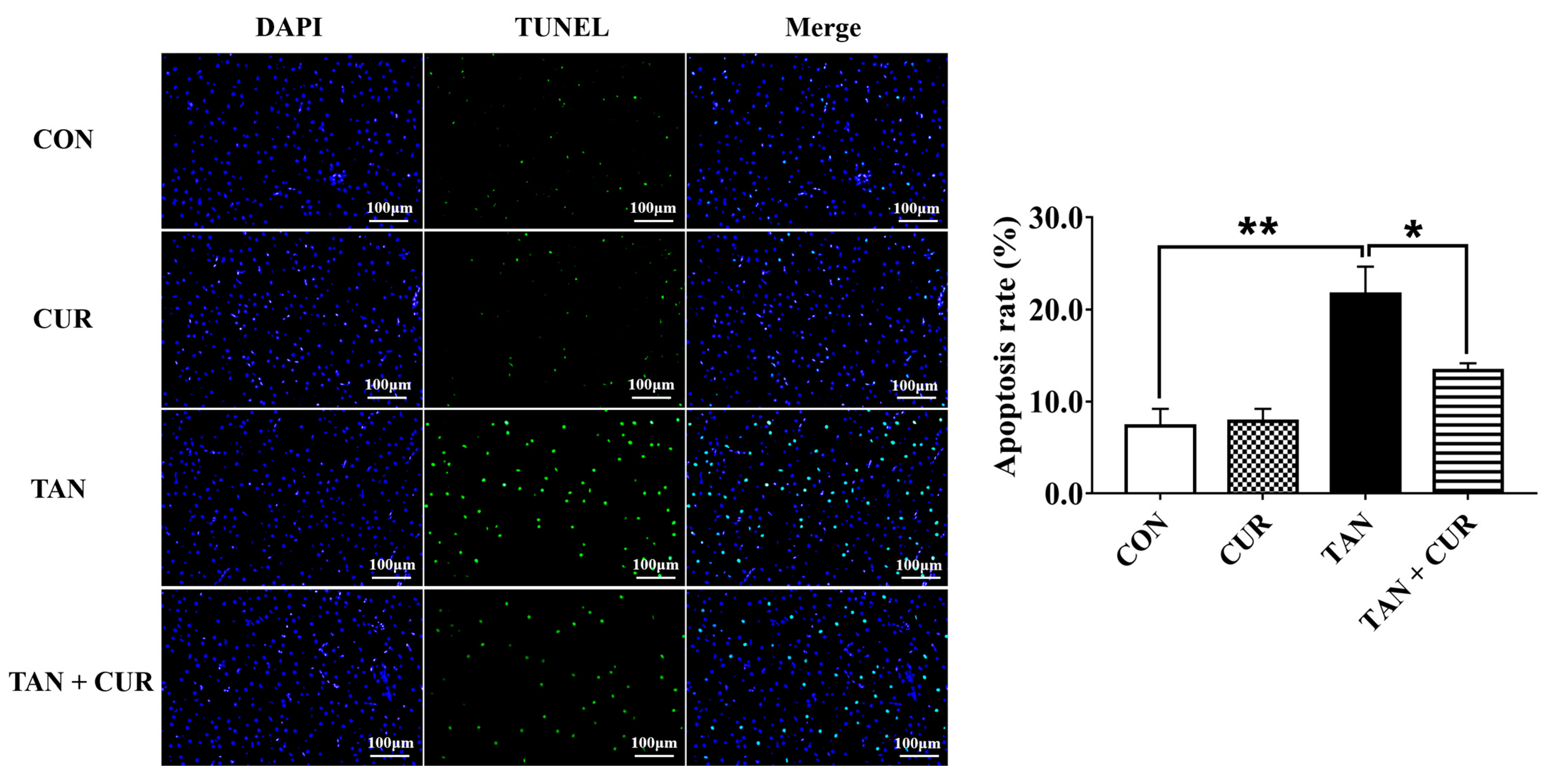 Ijms 24 06441 g006 Ijms 24 06441 g006