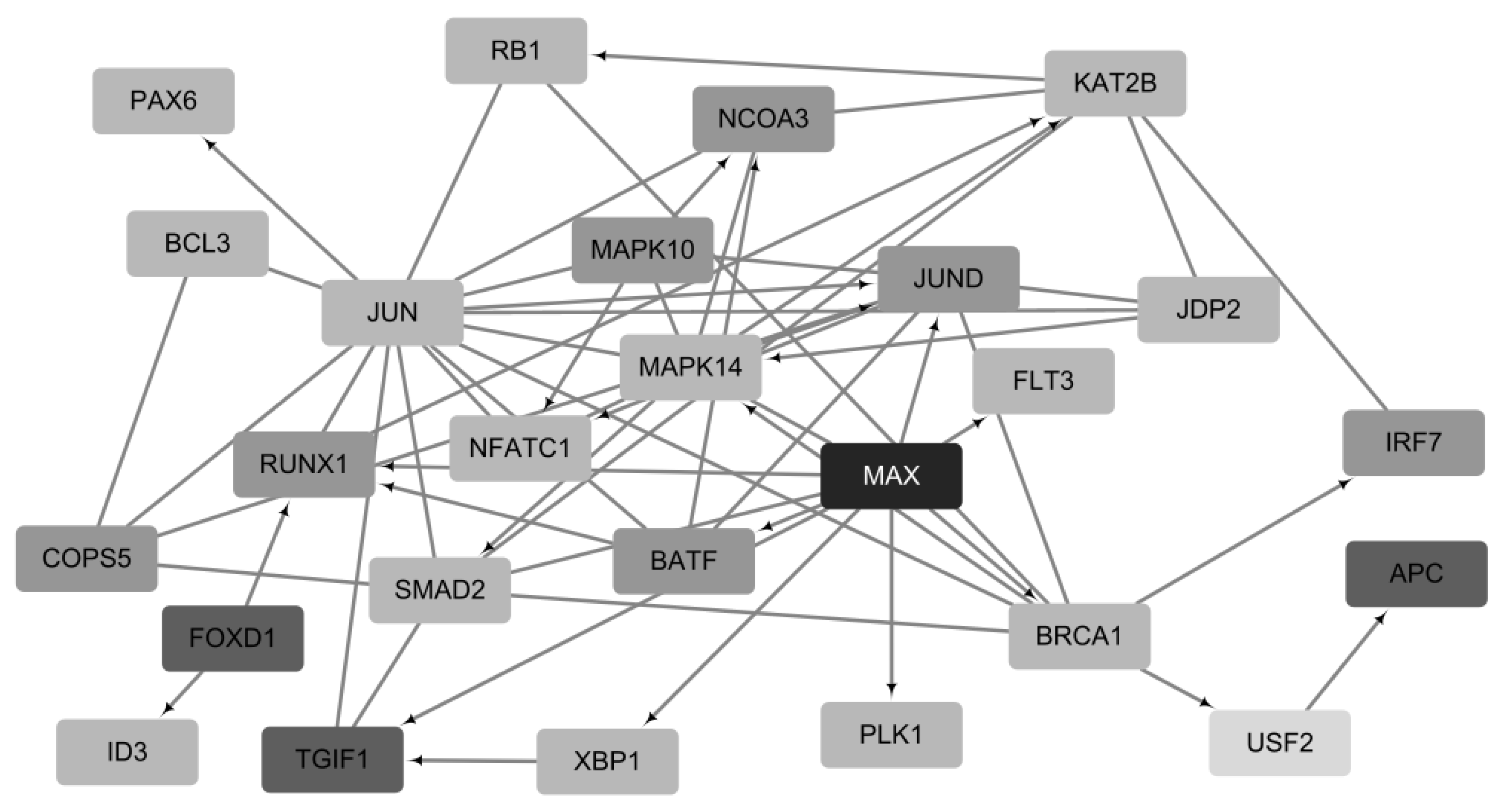 Ijms 24 06445 g006 Ijms 24 06445 g006