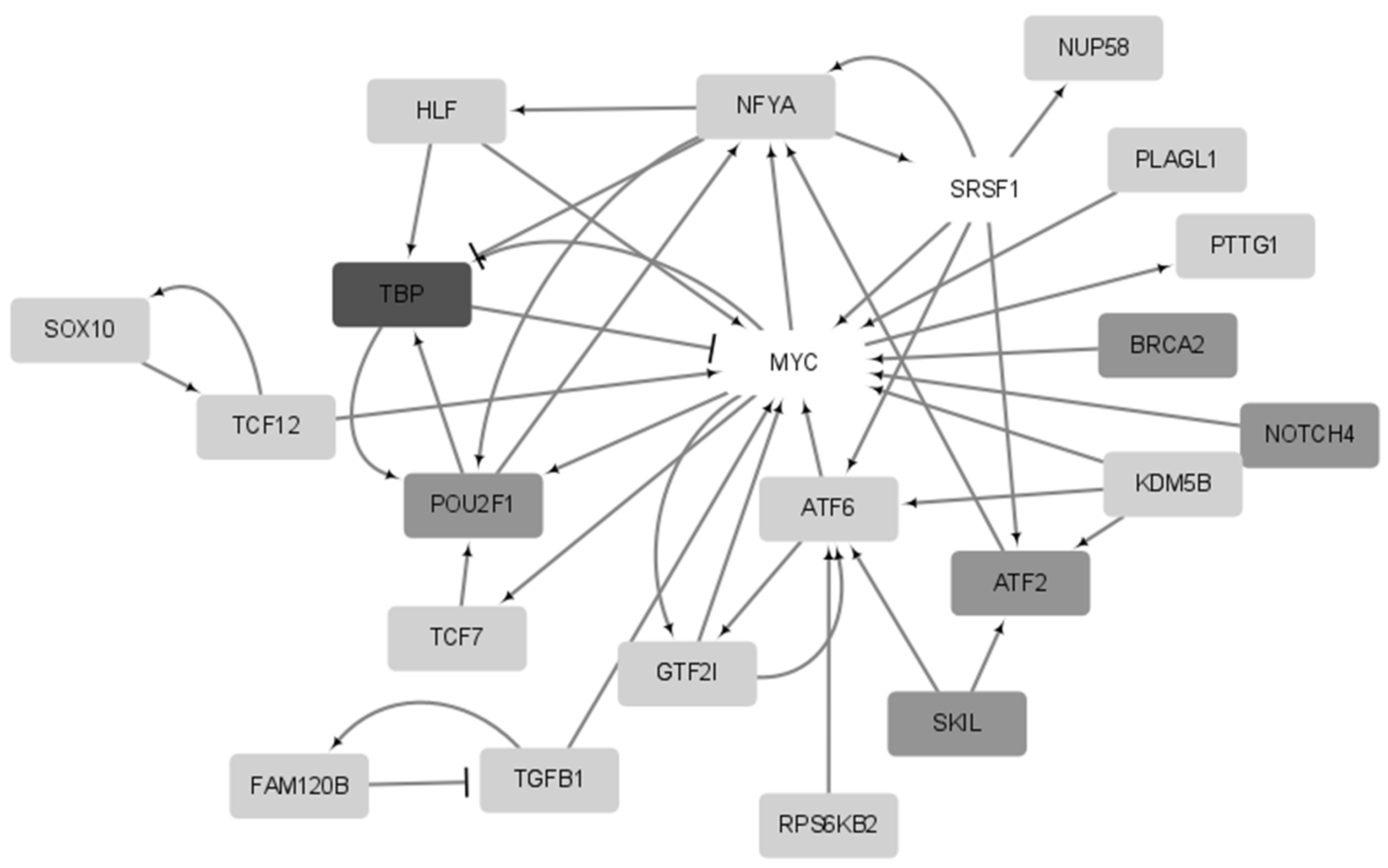 Ijms 24 06445 g007 Ijms 24 06445 g007