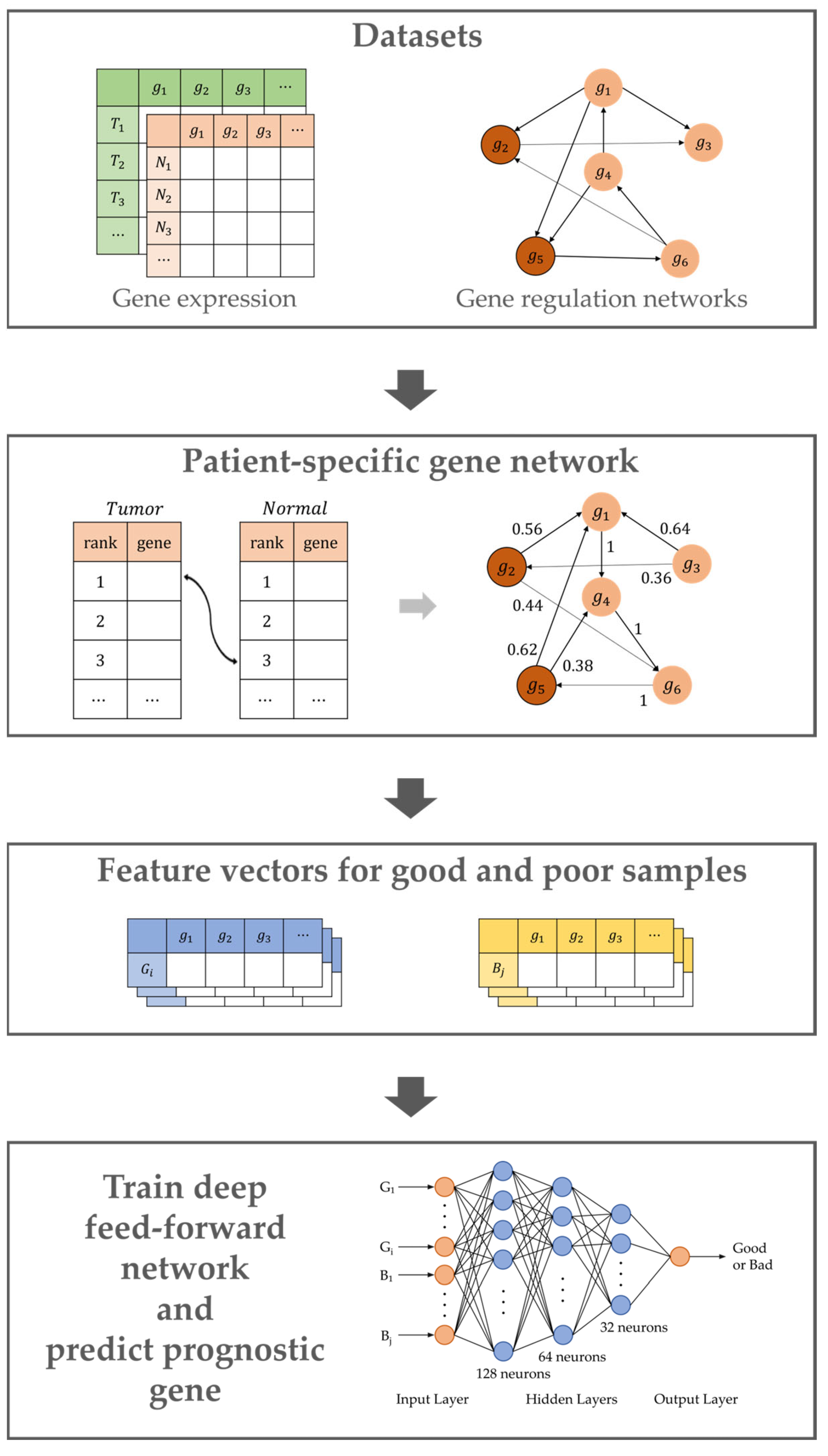 Ijms 24 06445 g008 Ijms 24 06445 g008