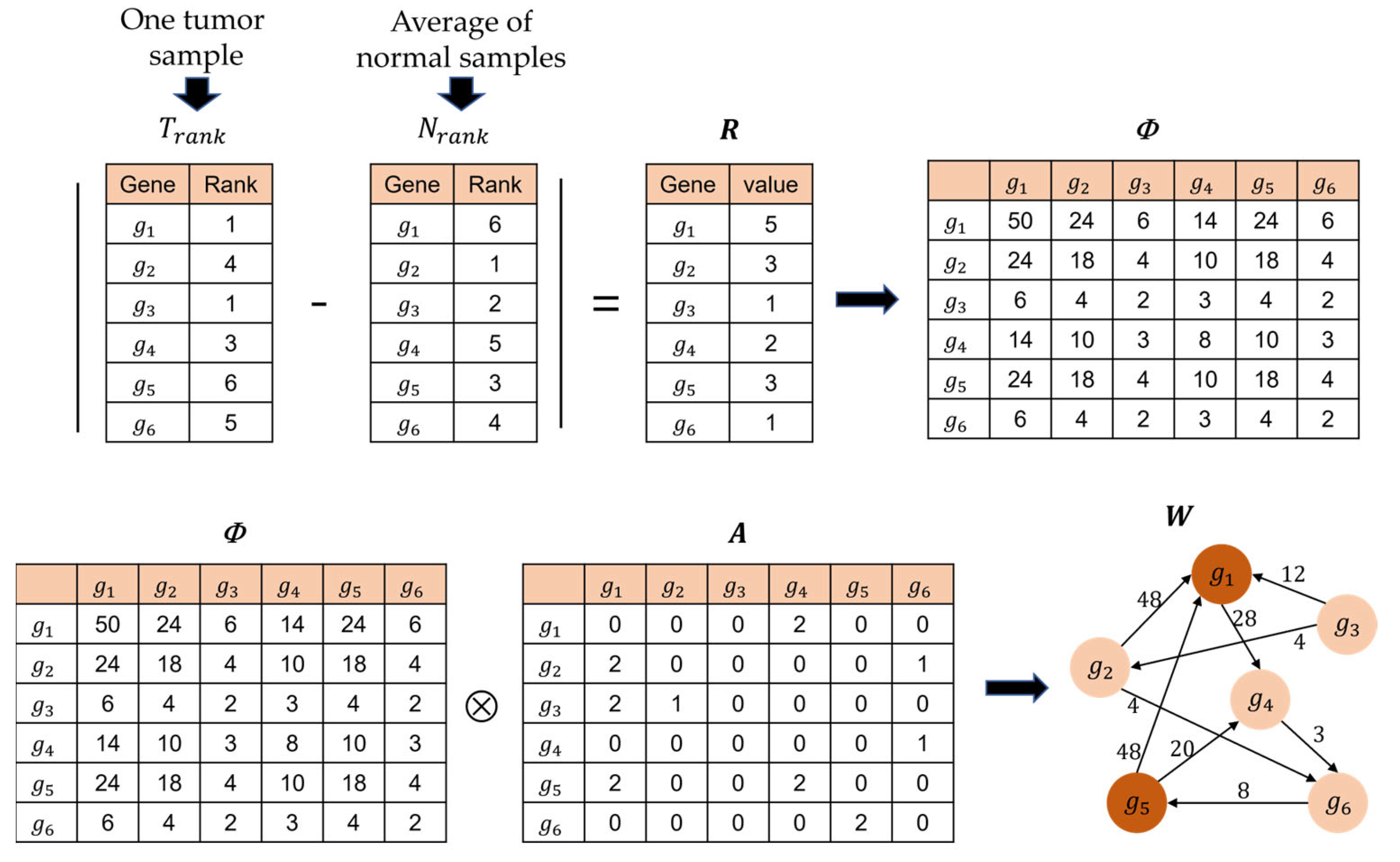 Ijms 24 06445 g009 Ijms 24 06445 g009