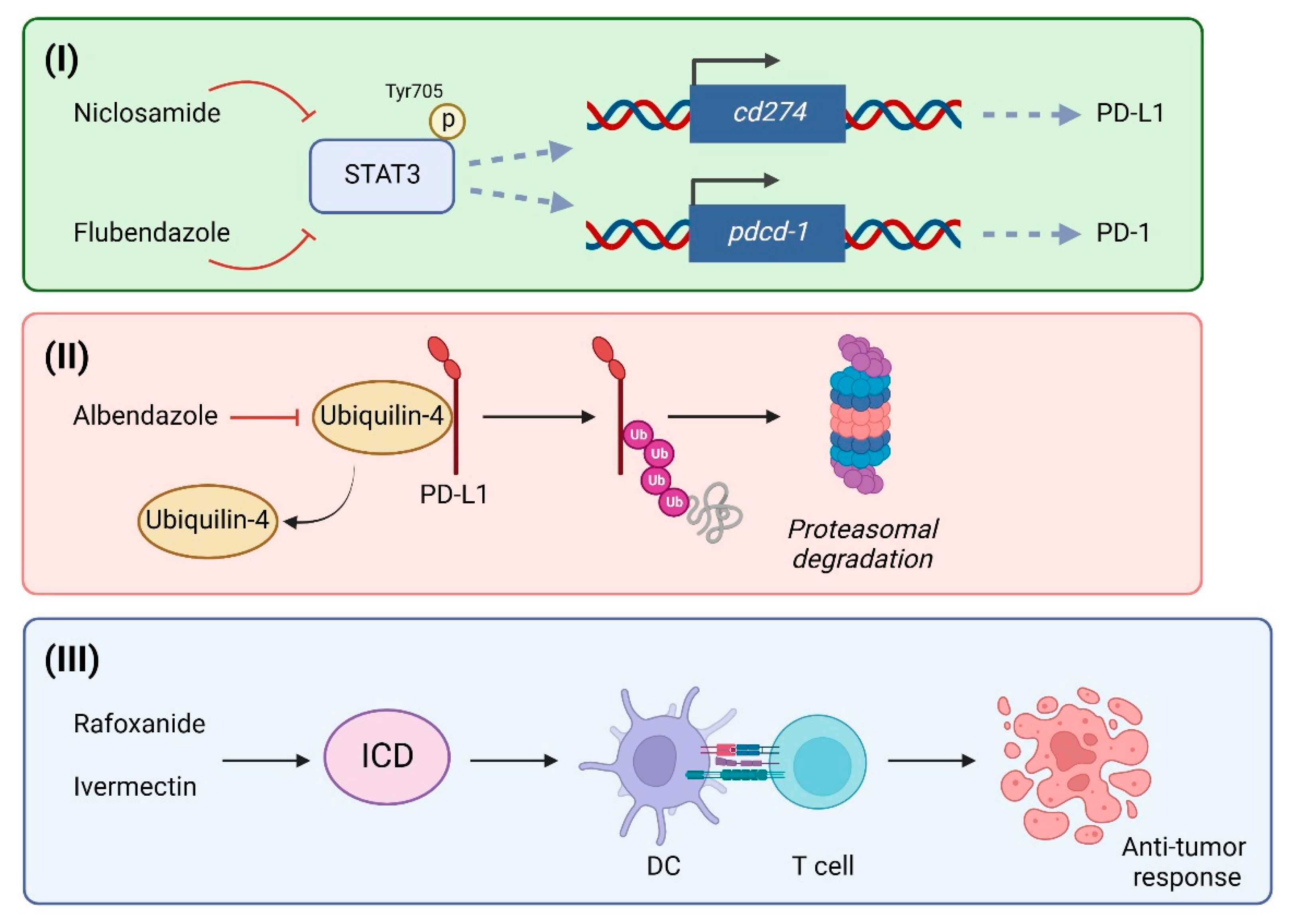 Ijms 24 06446 g001 Ijms 24 06446 g001