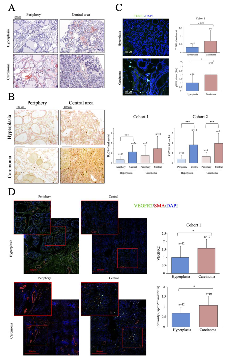 Ijms 24 06453 g001 Ijms 24 06453 g001