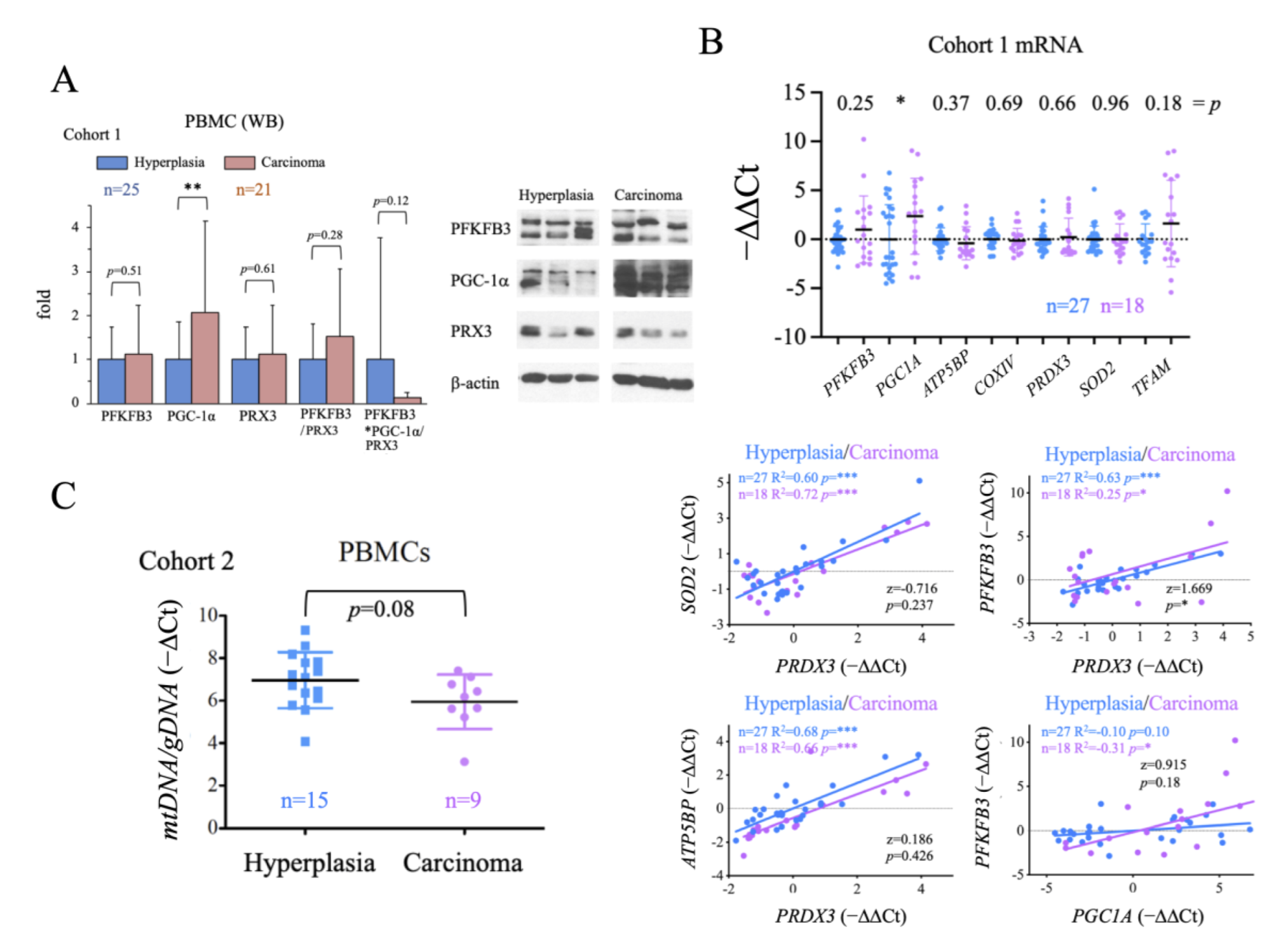Ijms 24 06453 g003 Ijms 24 06453 g003