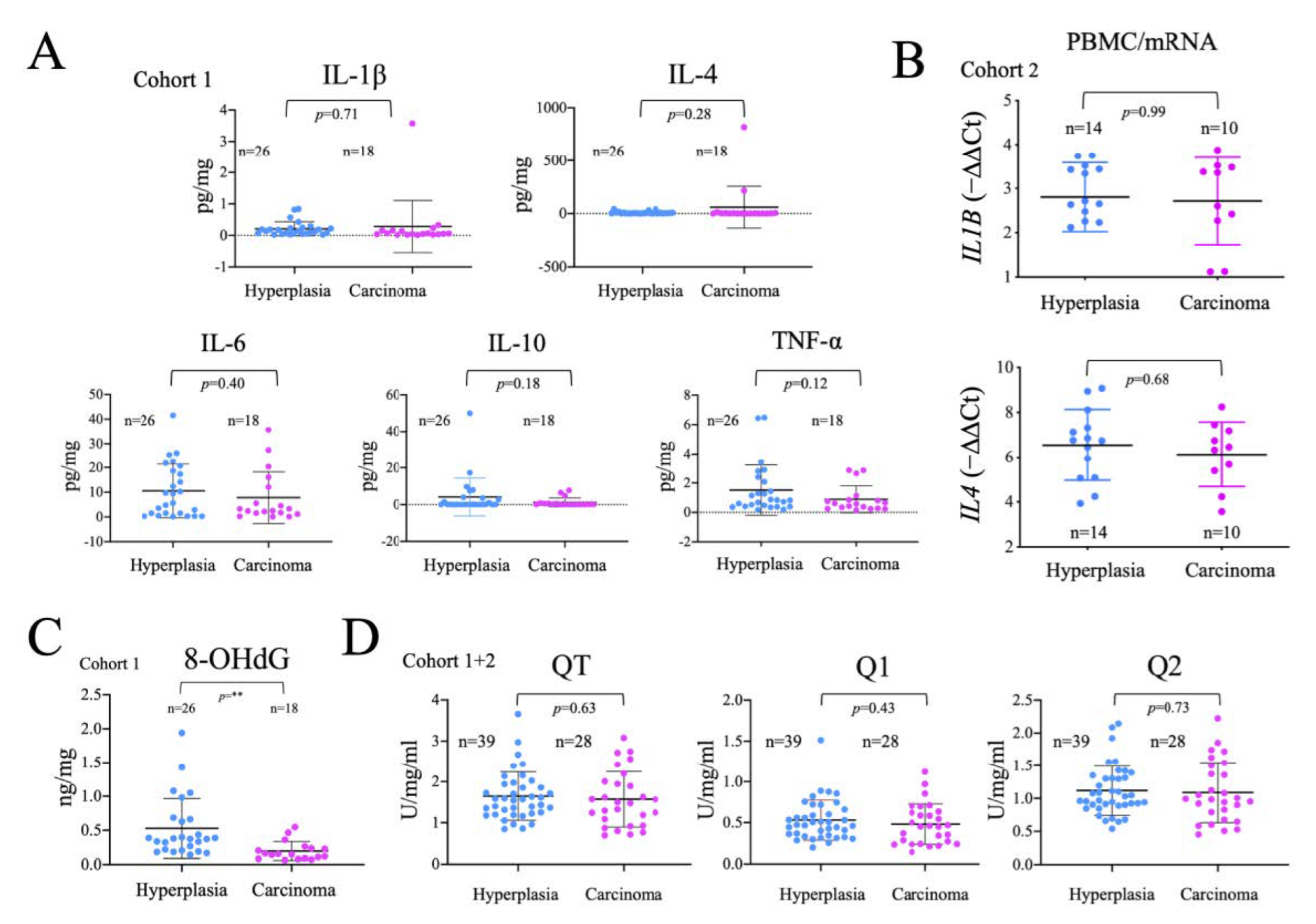 Ijms 24 06453 g004 Ijms 24 06453 g004