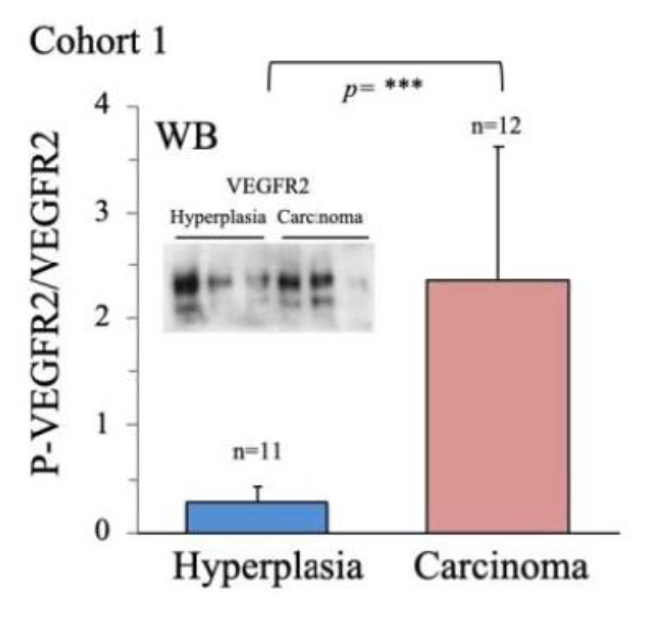 Ijms 24 06453 g0a1 Ijms 24 06453 g0a1