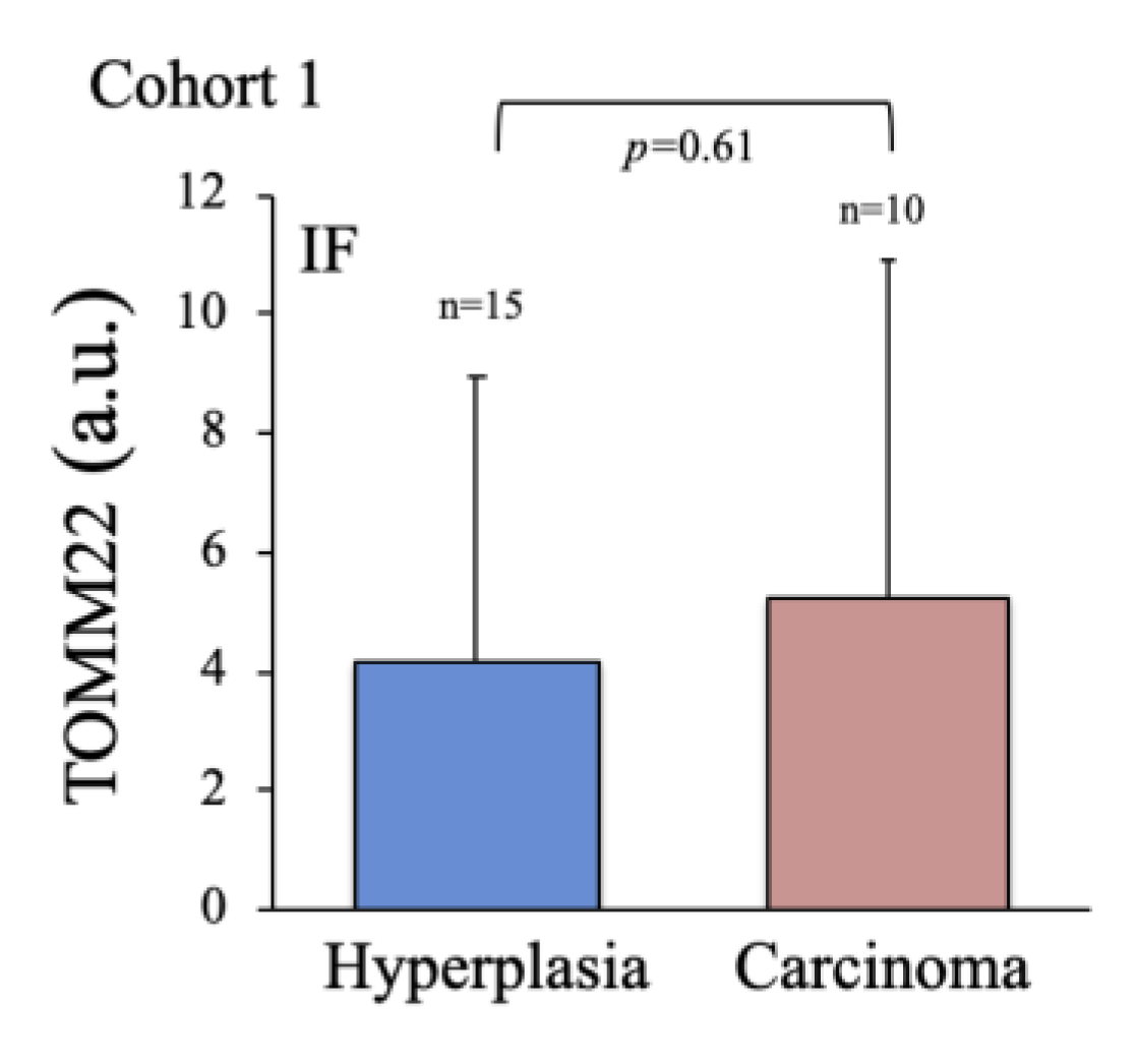 Ijms 24 06453 g0a2 Ijms 24 06453 g0a2