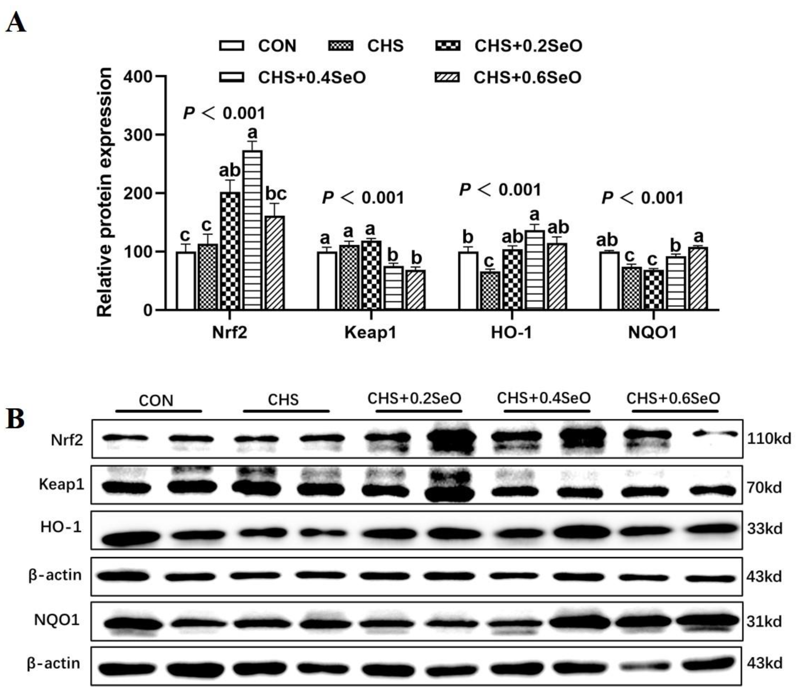 Ijms 24 06461 g003 Ijms 24 06461 g003