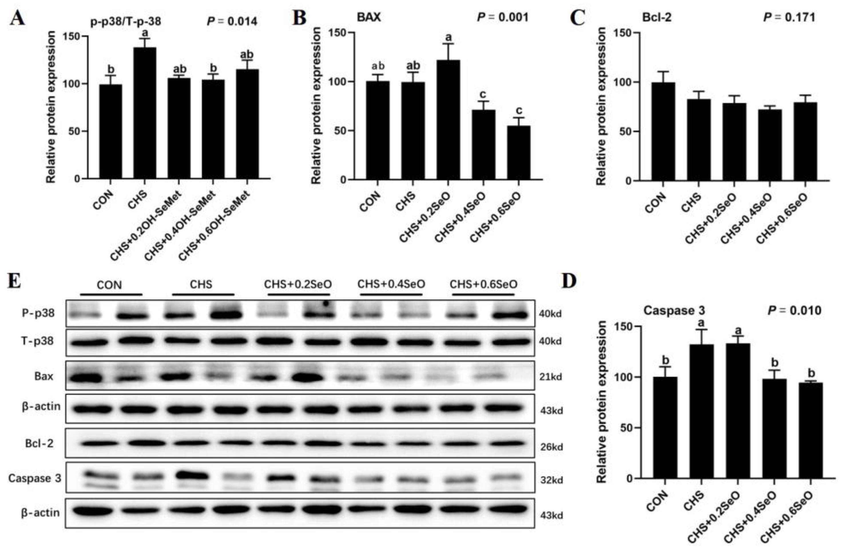 Ijms 24 06461 g004 Ijms 24 06461 g004