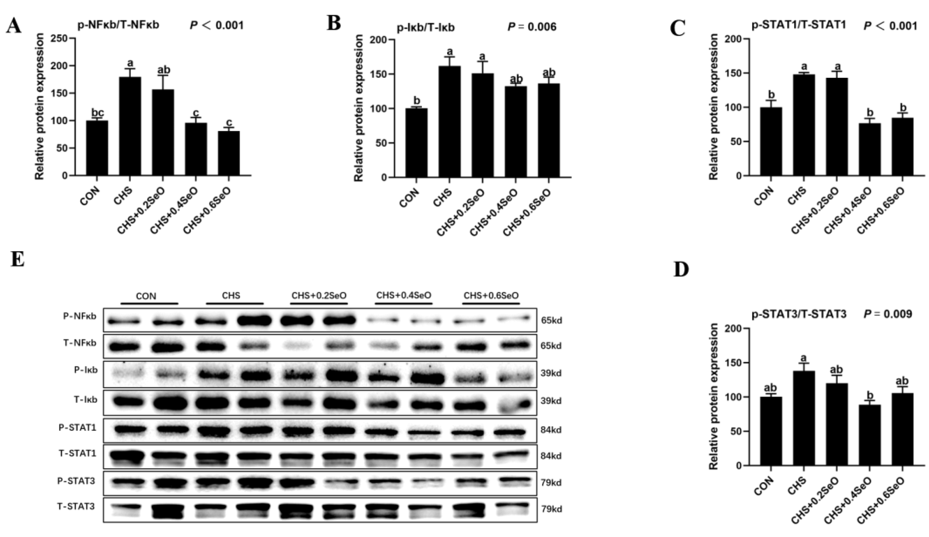 Ijms 24 06461 g005 Ijms 24 06461 g005