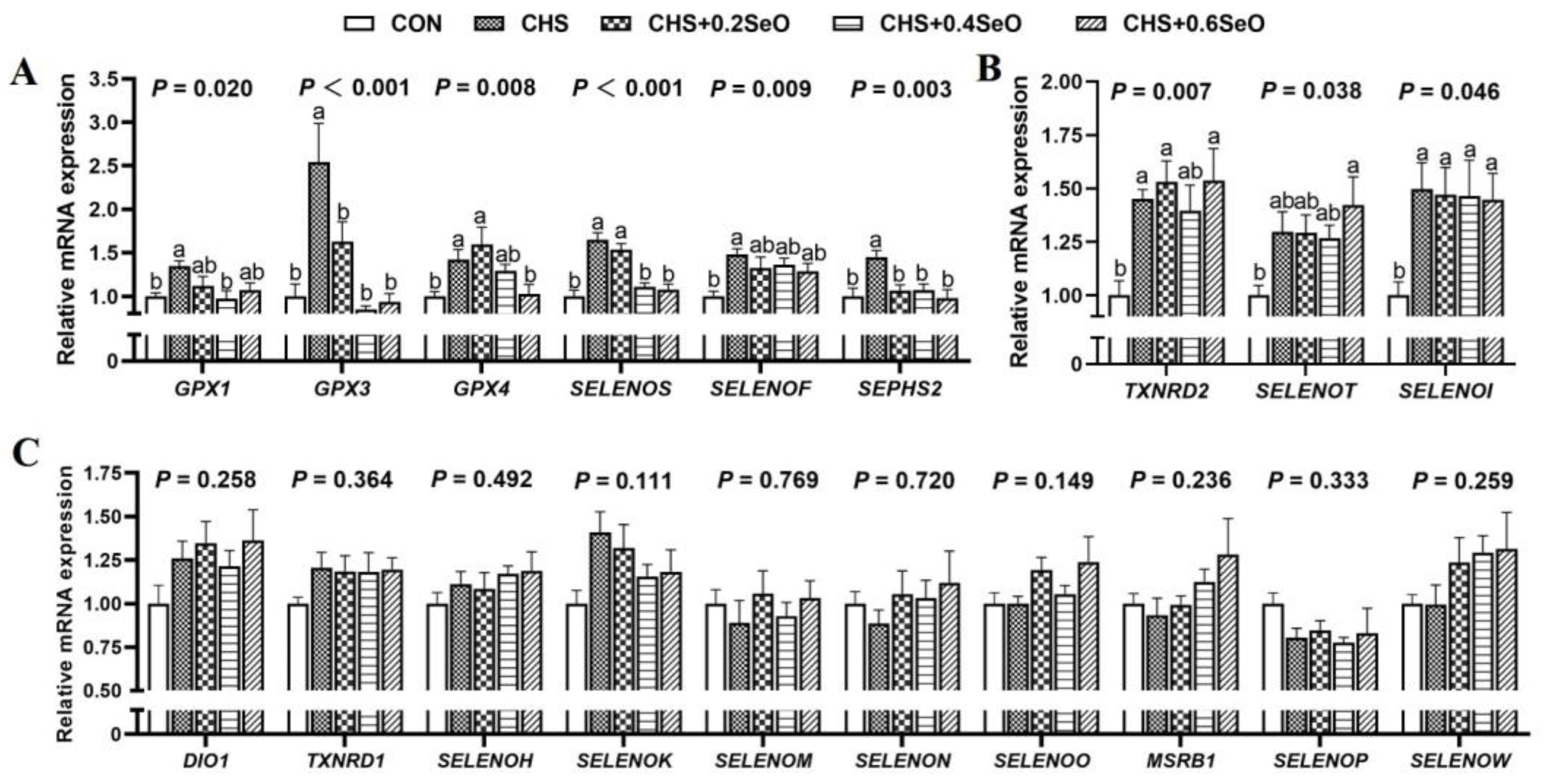 Ijms 24 06461 g007 Ijms 24 06461 g007