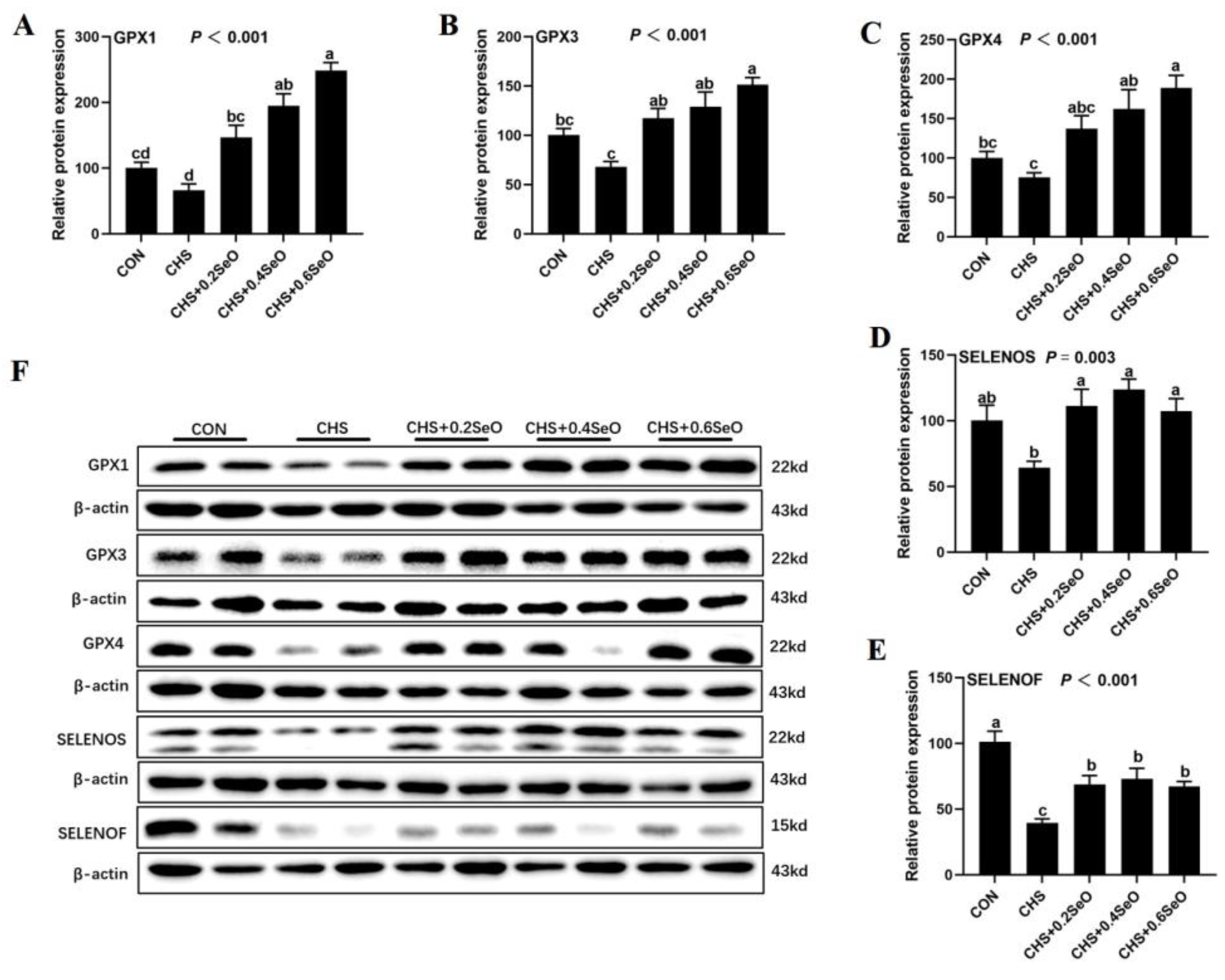 Ijms 24 06461 g008 Ijms 24 06461 g008