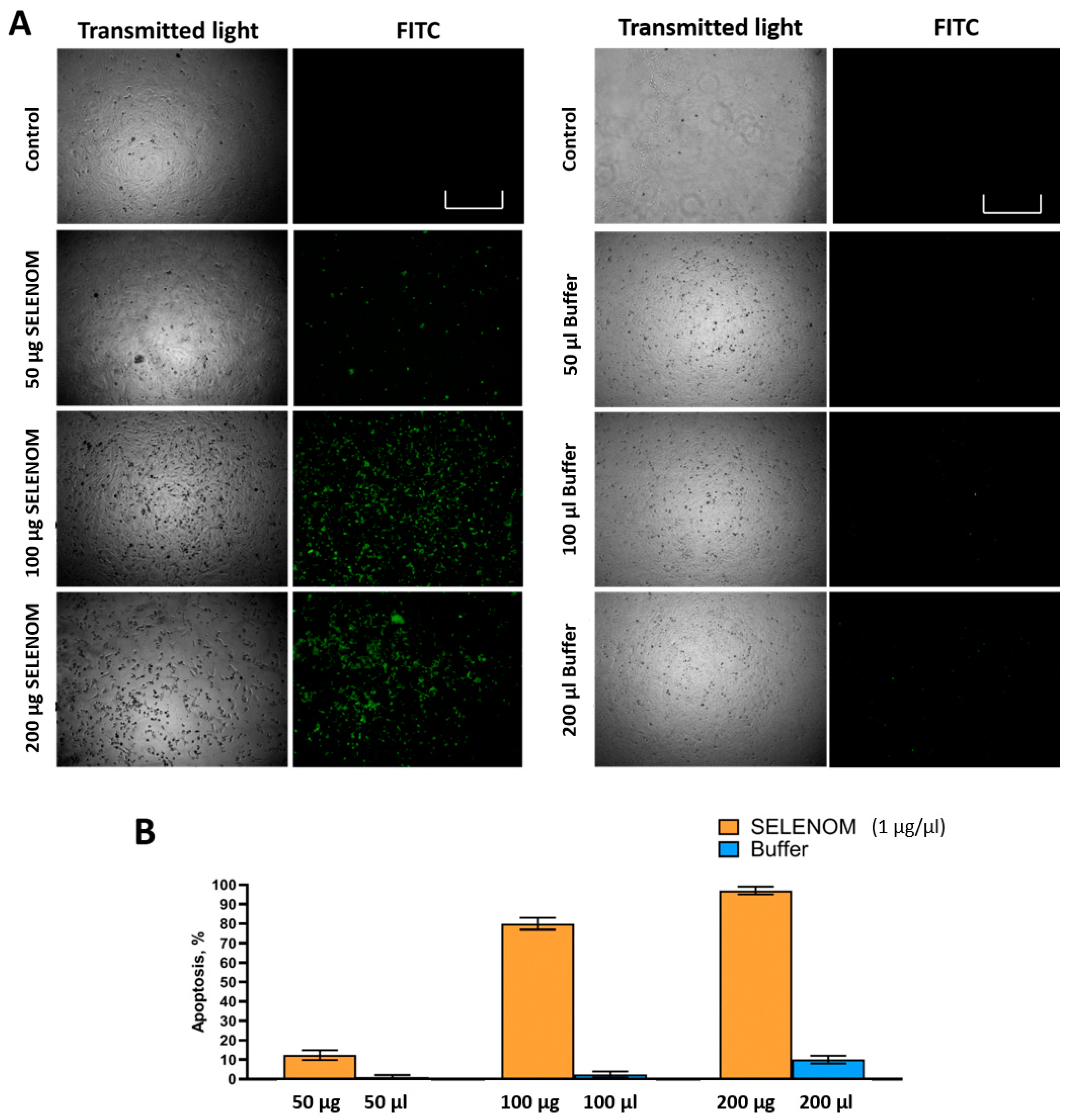 Ijms 24 06469 g003 Ijms 24 06469 g003