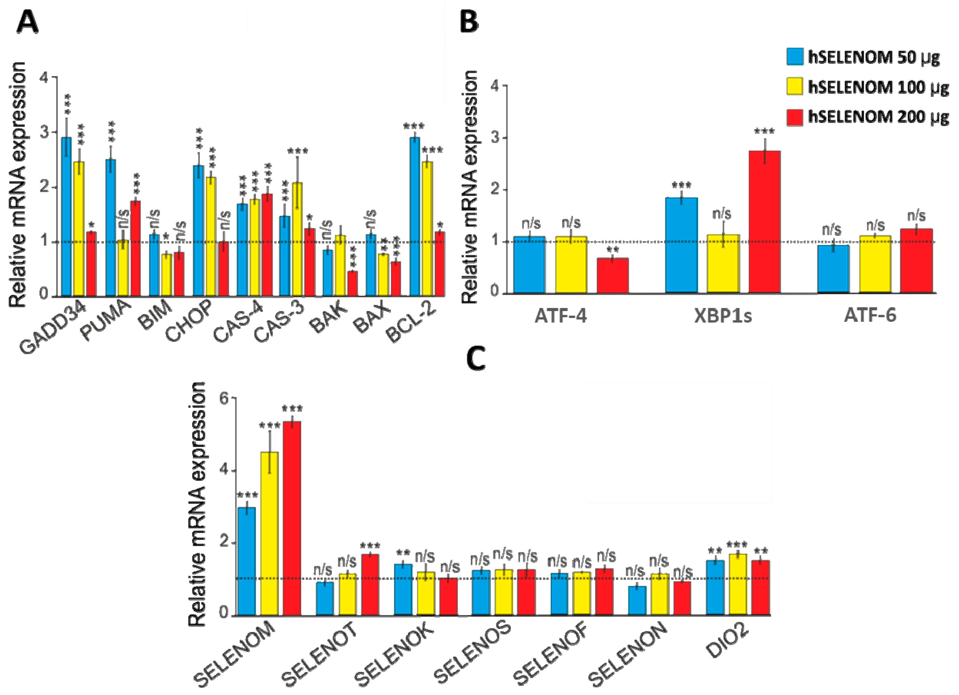 Ijms 24 06469 g004 Ijms 24 06469 g004