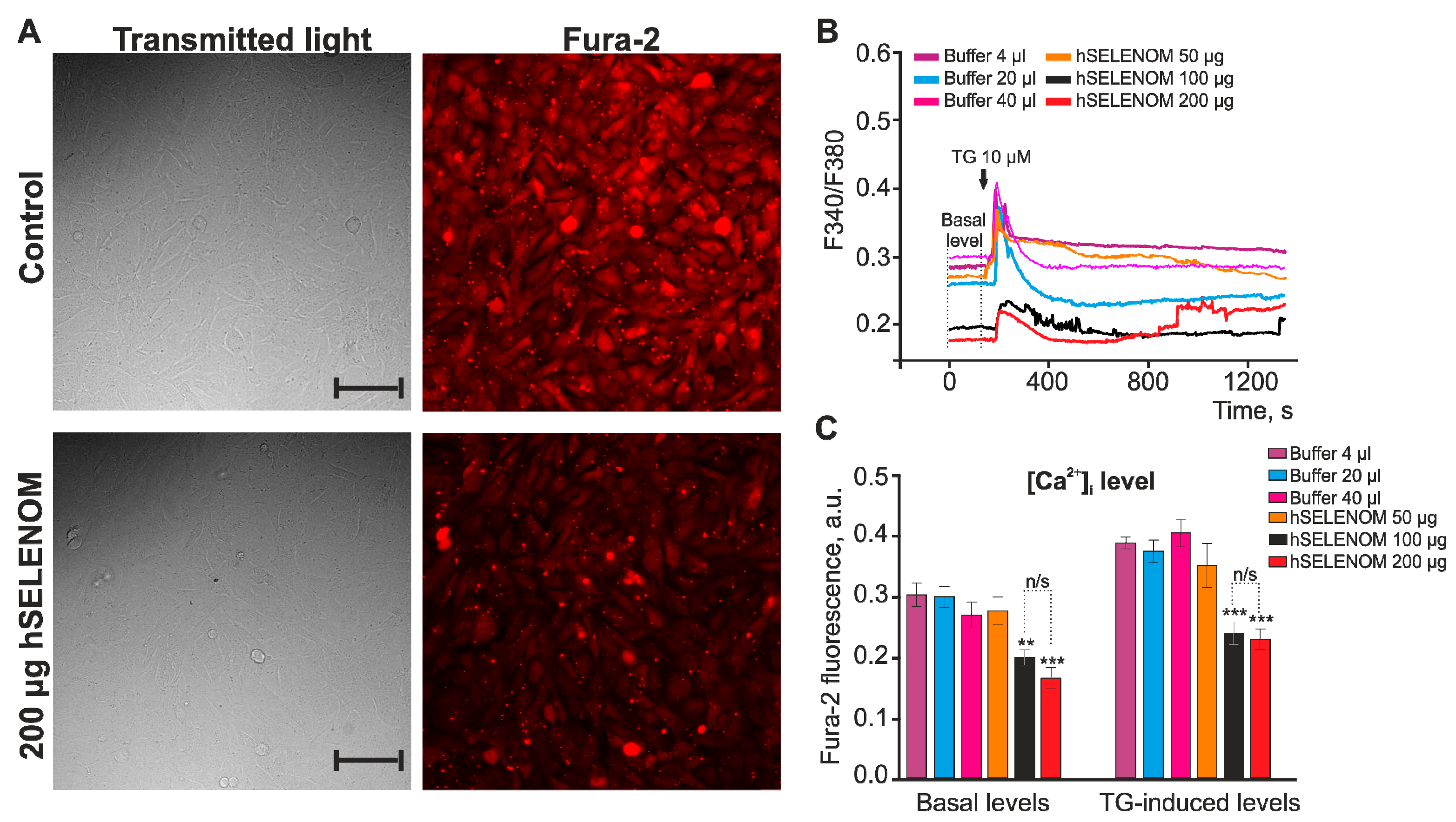 Ijms 24 06469 g006 Ijms 24 06469 g006