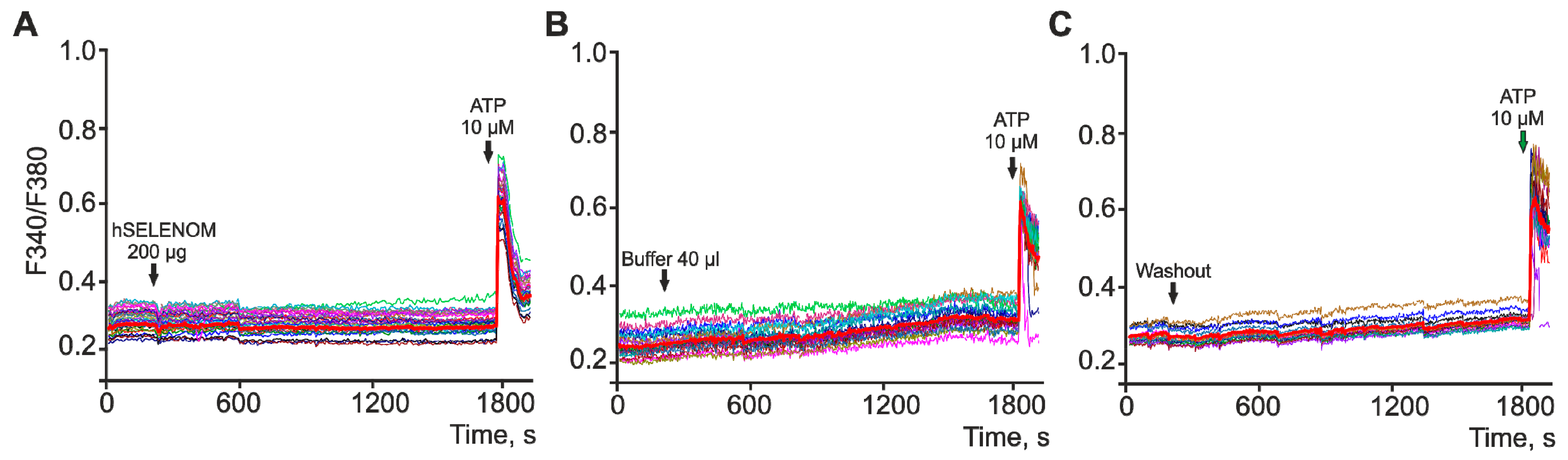 Ijms 24 06469 g007 Ijms 24 06469 g007