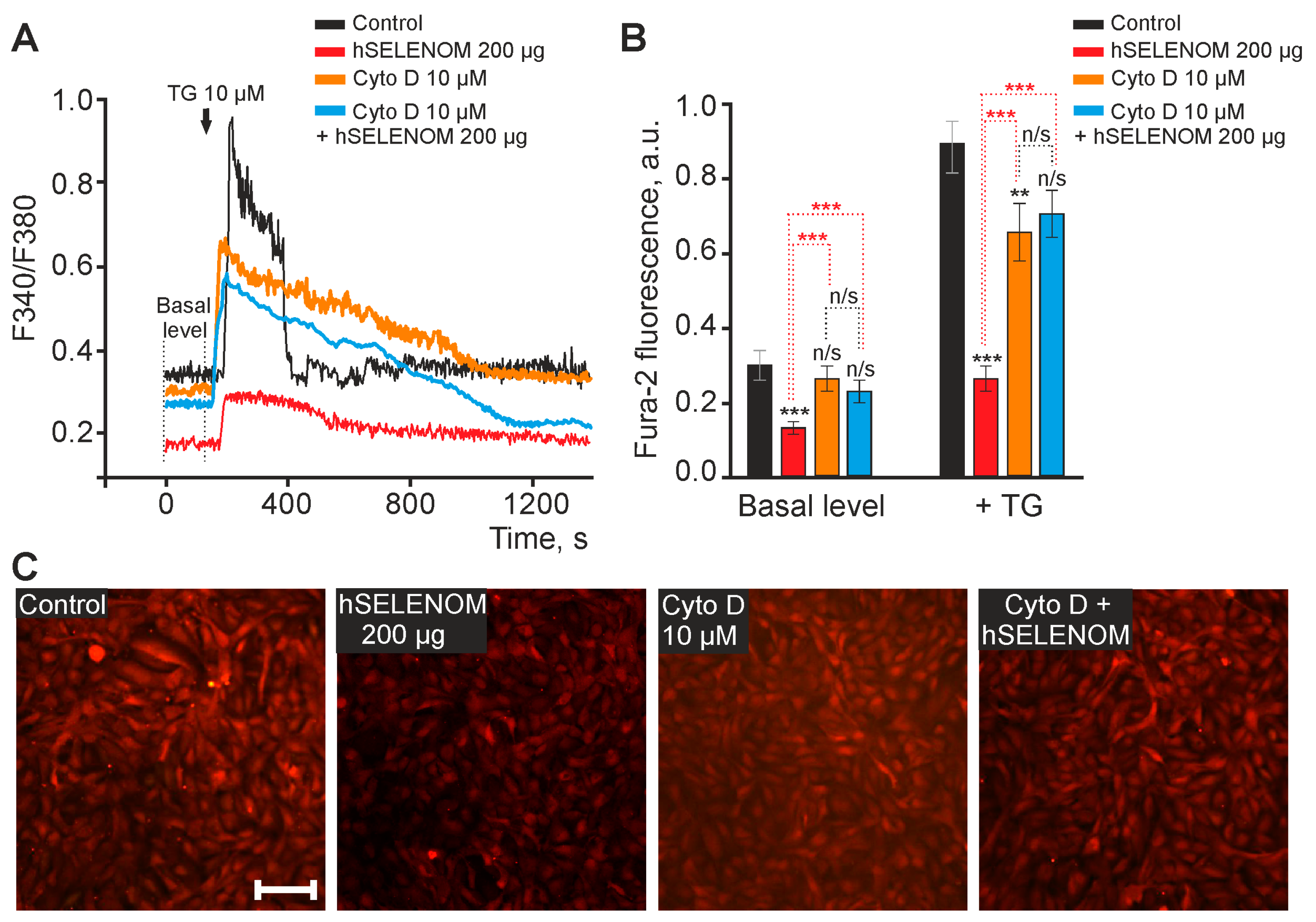 Ijms 24 06469 g008 Ijms 24 06469 g008