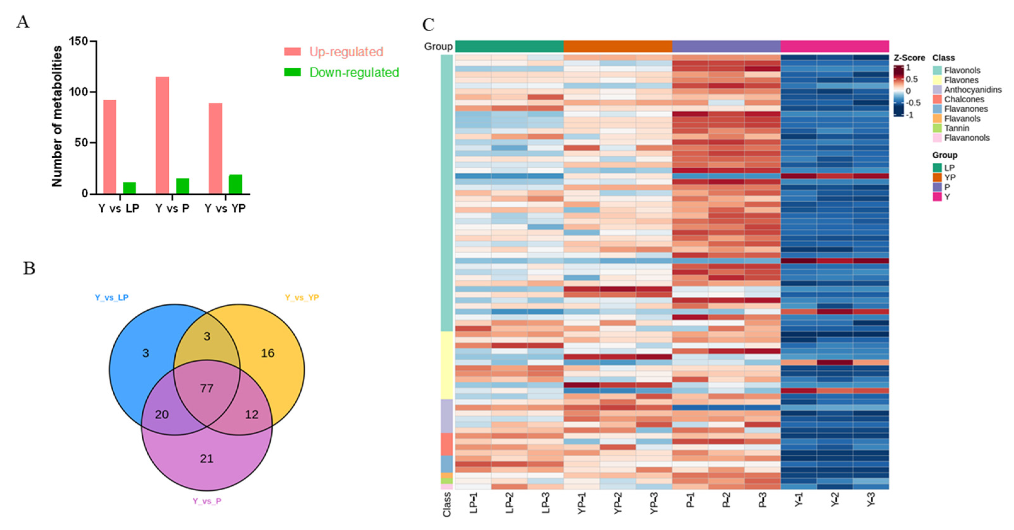 Ijms 24 06472 g004 Ijms 24 06472 g004