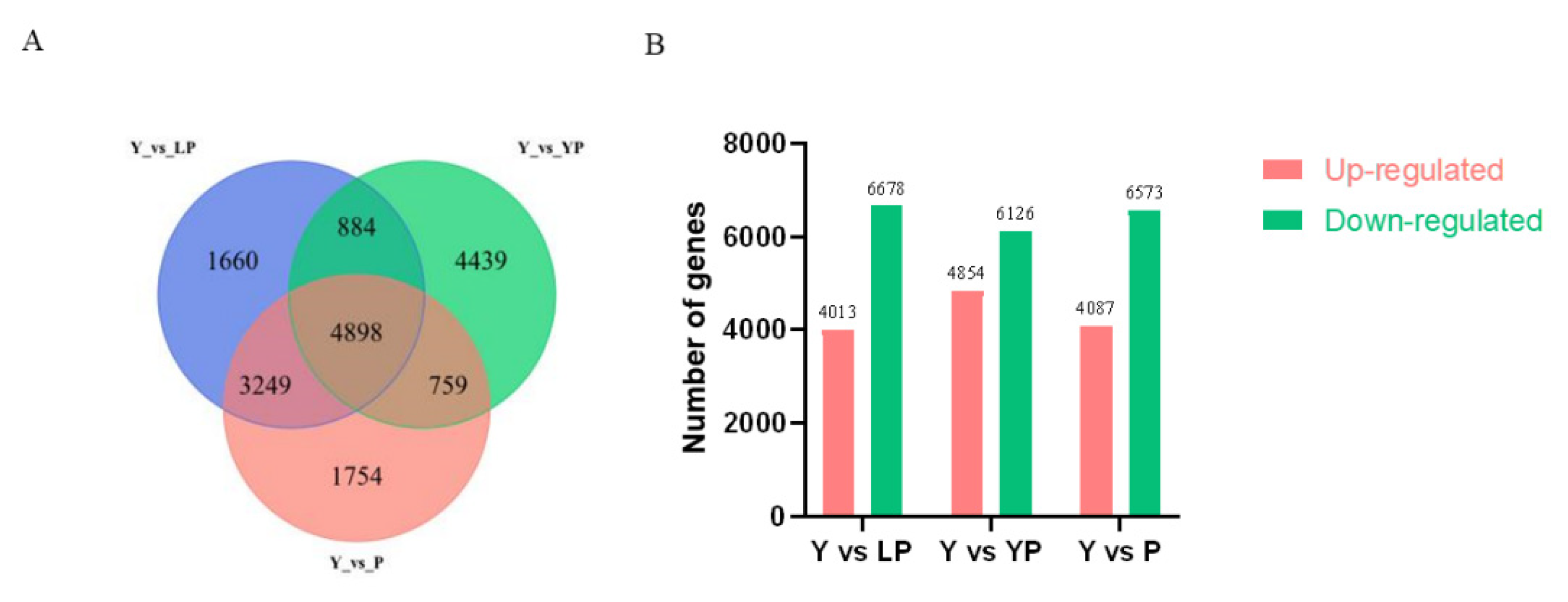 Ijms 24 06472 g006 Ijms 24 06472 g006