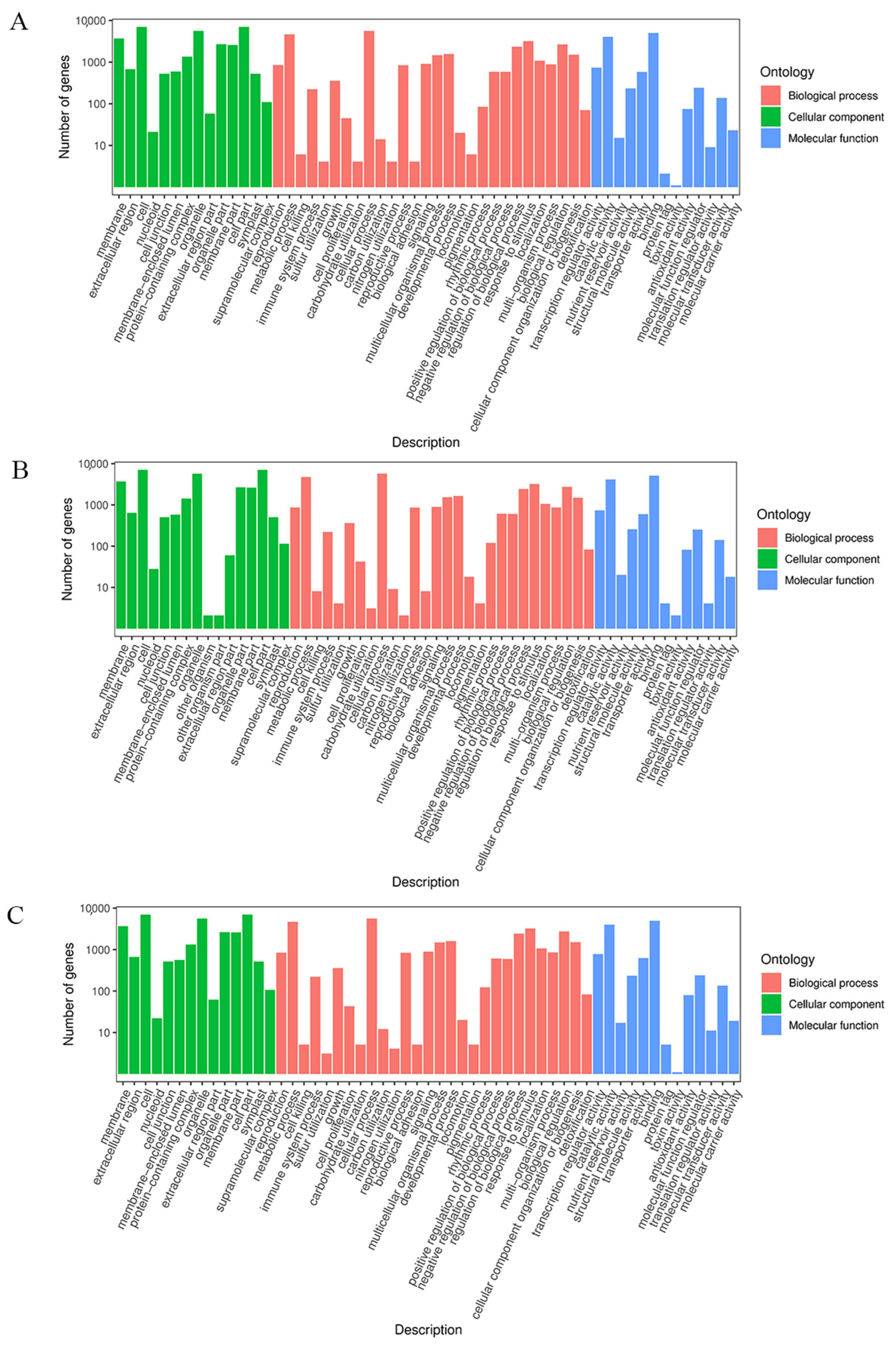 Ijms 24 06472 g007 Ijms 24 06472 g007