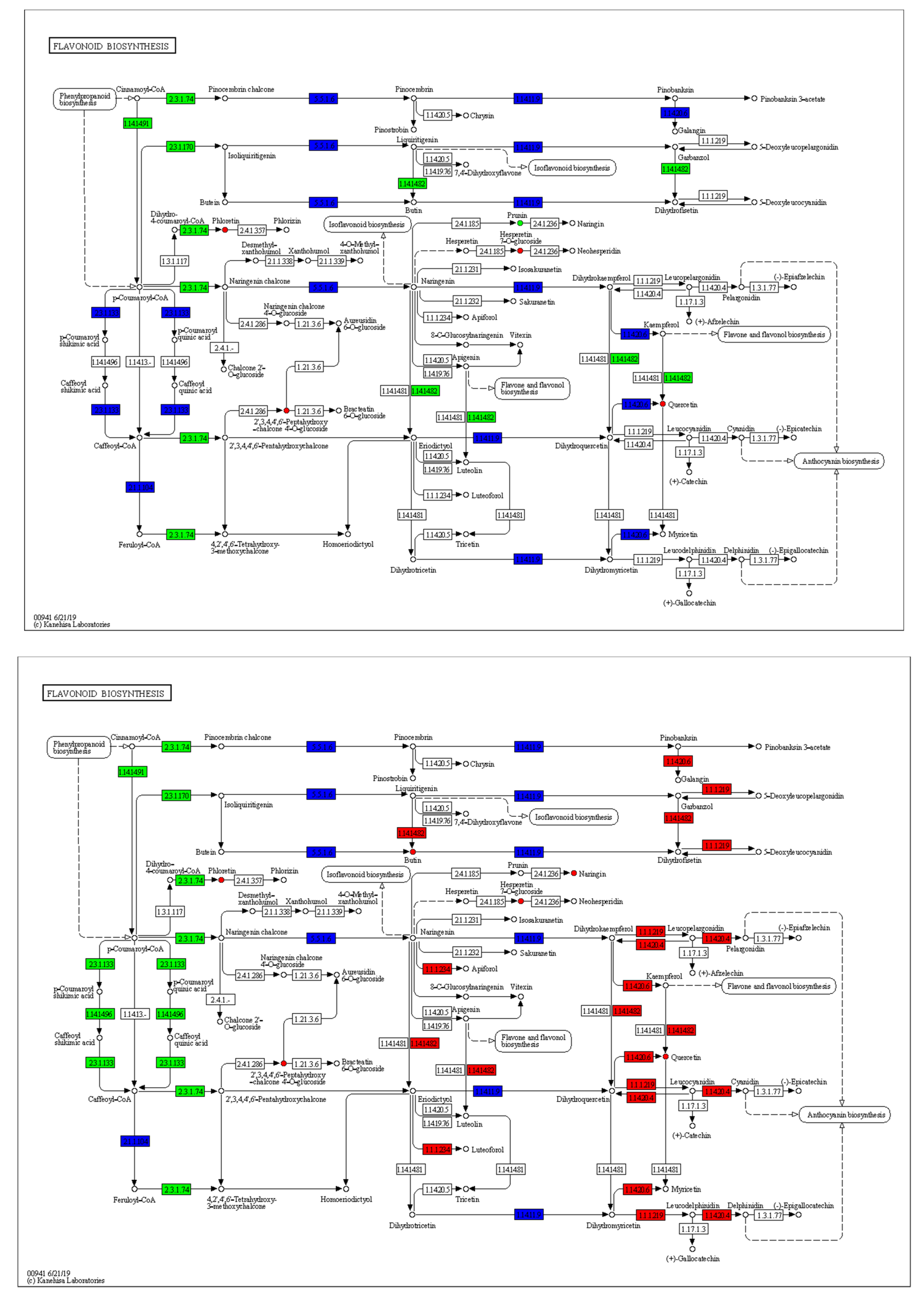 Ijms 24 06472 g009a Ijms 24 06472 g009a