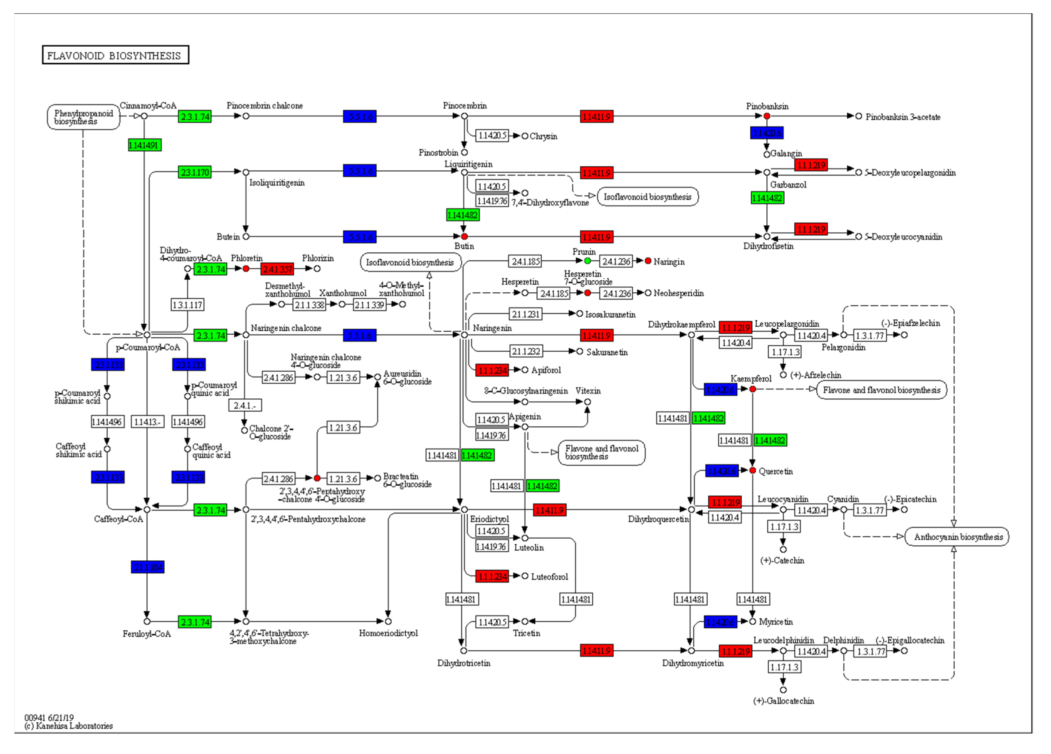 Ijms 24 06472 g009b Ijms 24 06472 g009b