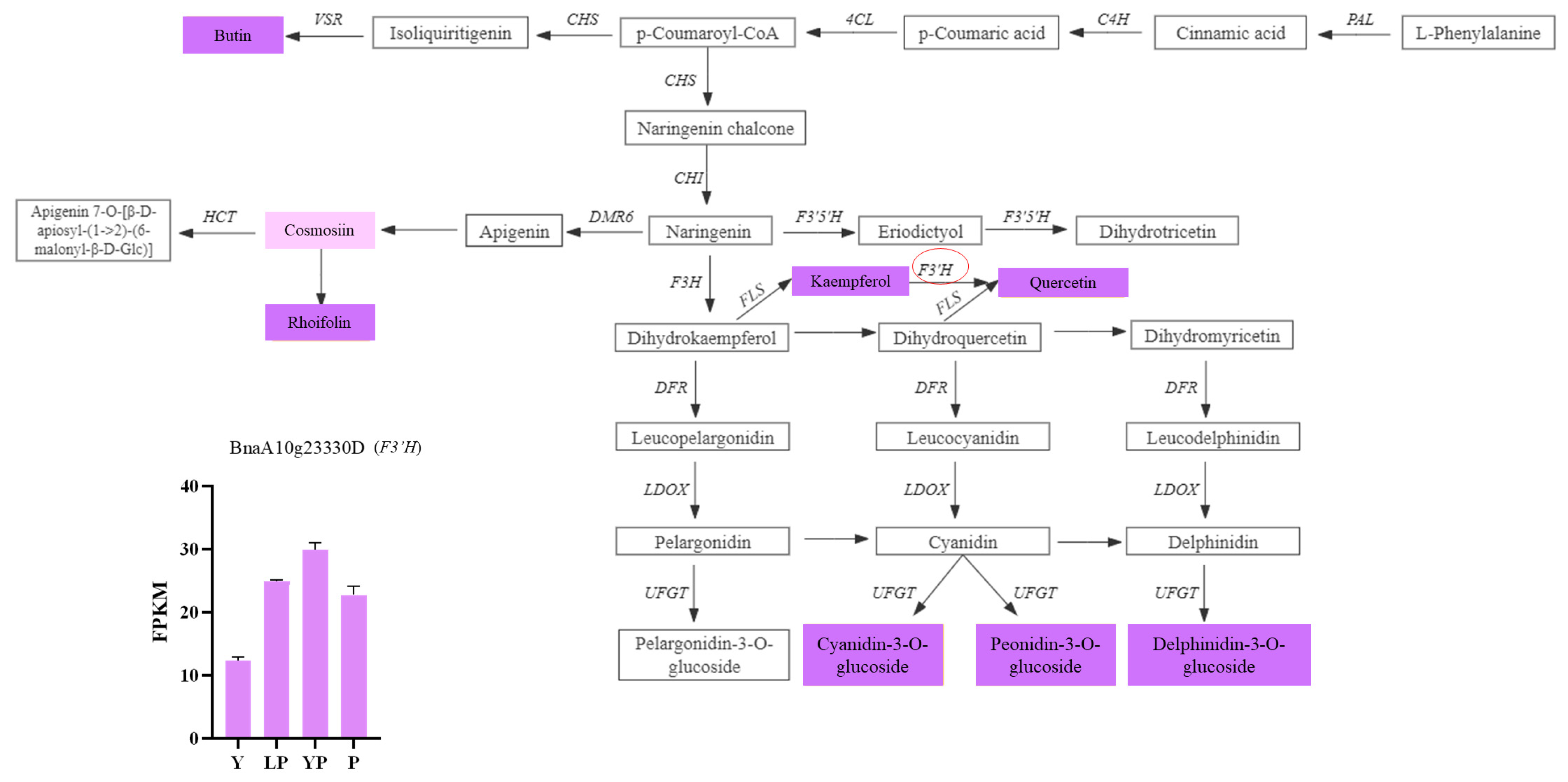 Ijms 24 06472 g010 Ijms 24 06472 g010