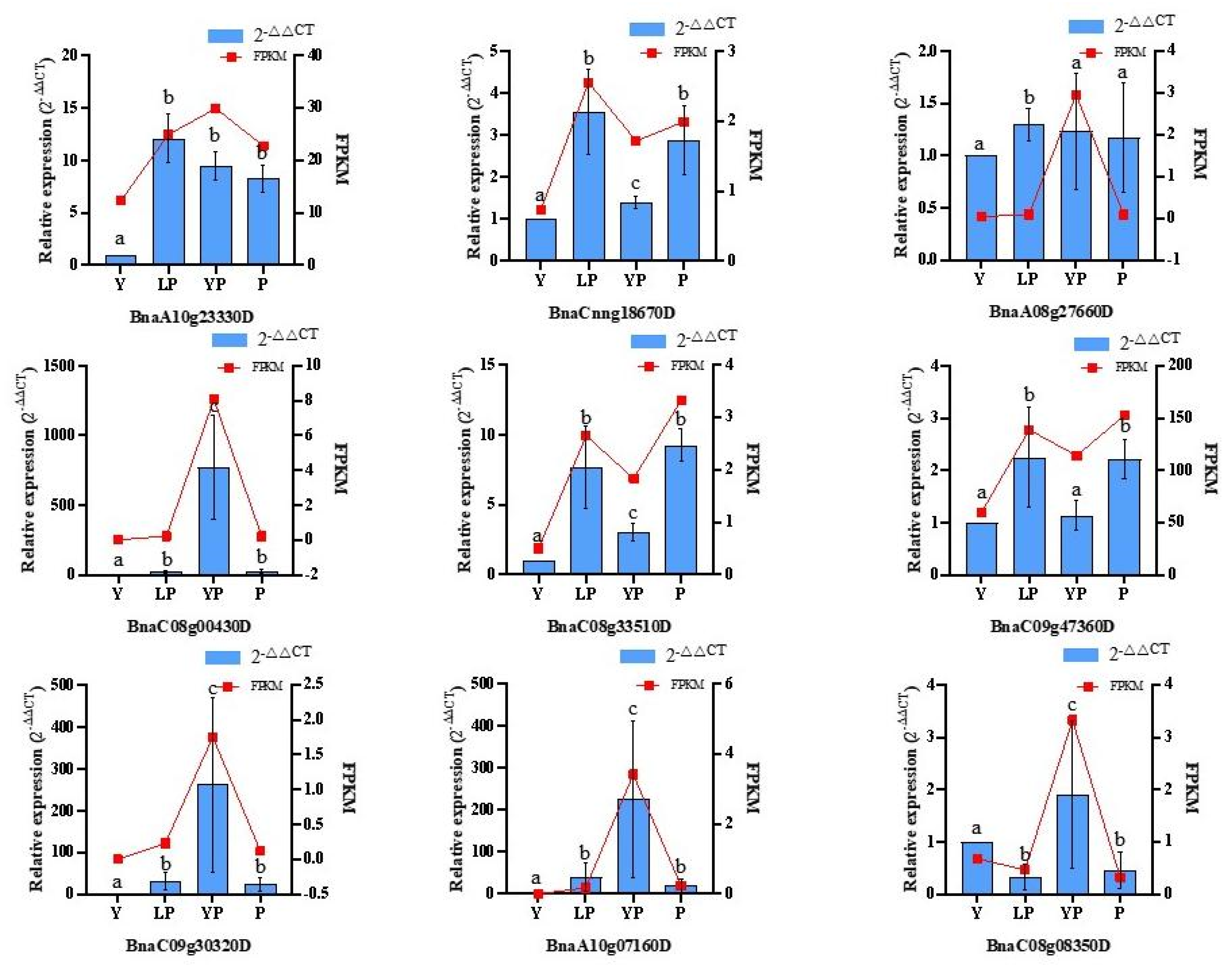 Ijms 24 06472 g011 Ijms 24 06472 g011