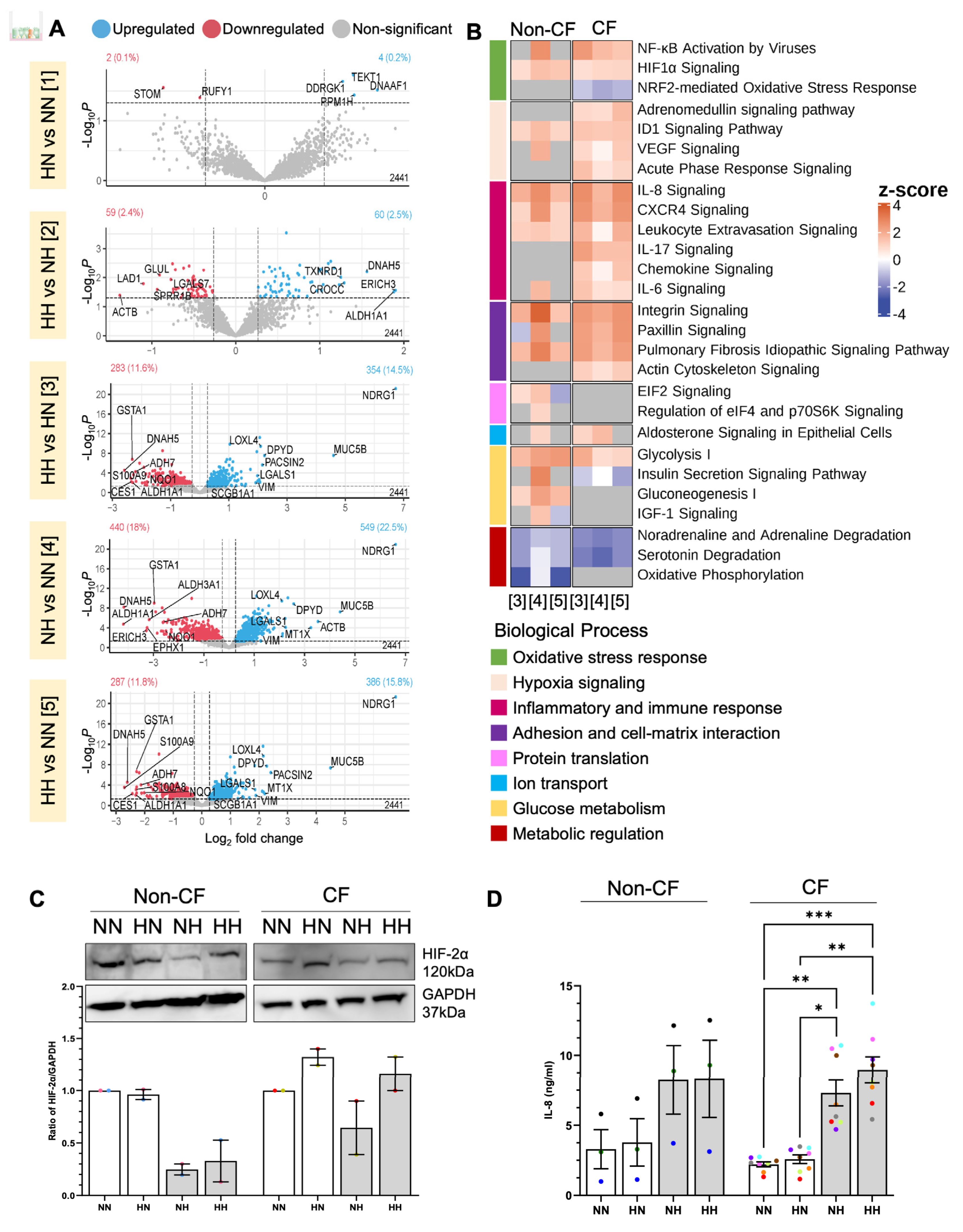 Ijms 24 06475 g003 Ijms 24 06475 g003