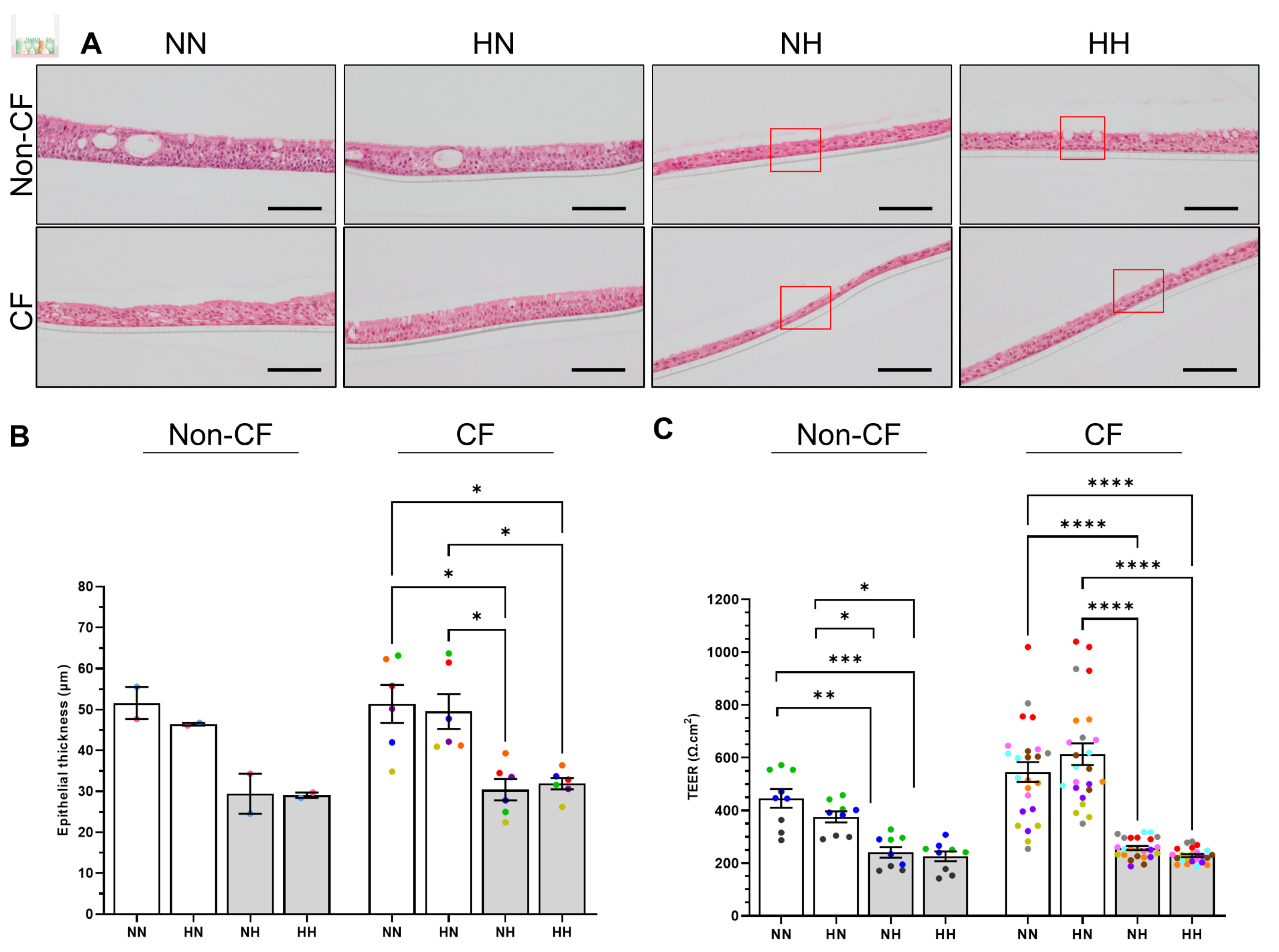 Ijms 24 06475 g004 Ijms 24 06475 g004
