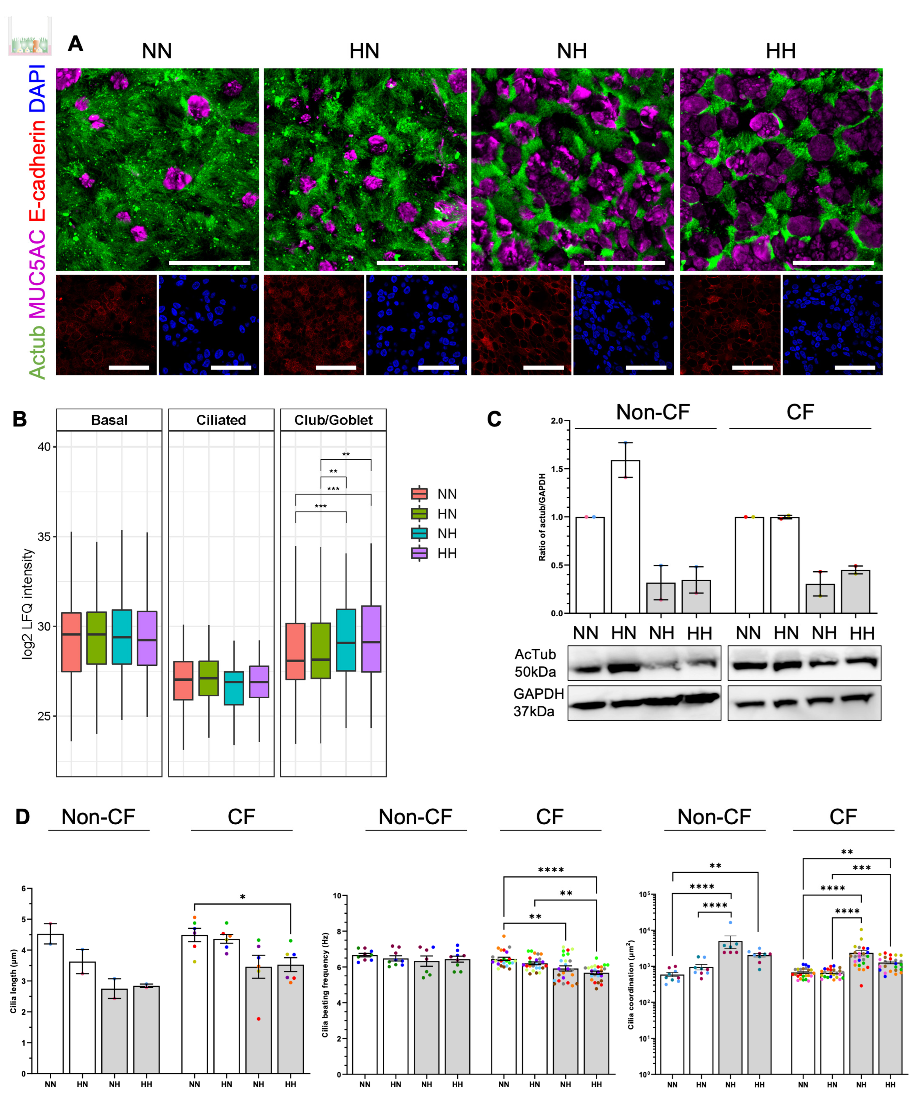 Ijms 24 06475 g005 Ijms 24 06475 g005