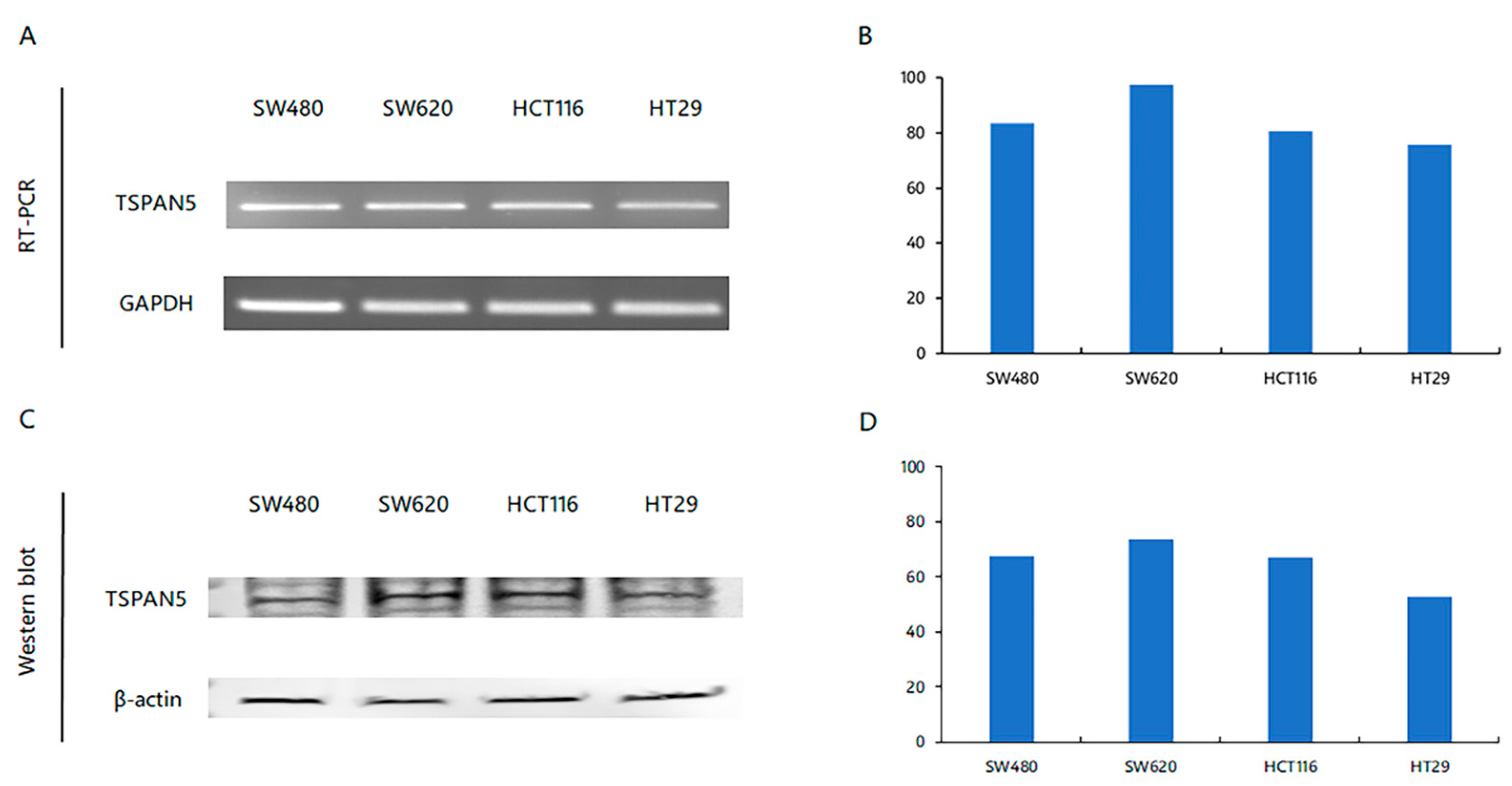 Ijms 24 06476 g001 Ijms 24 06476 g001