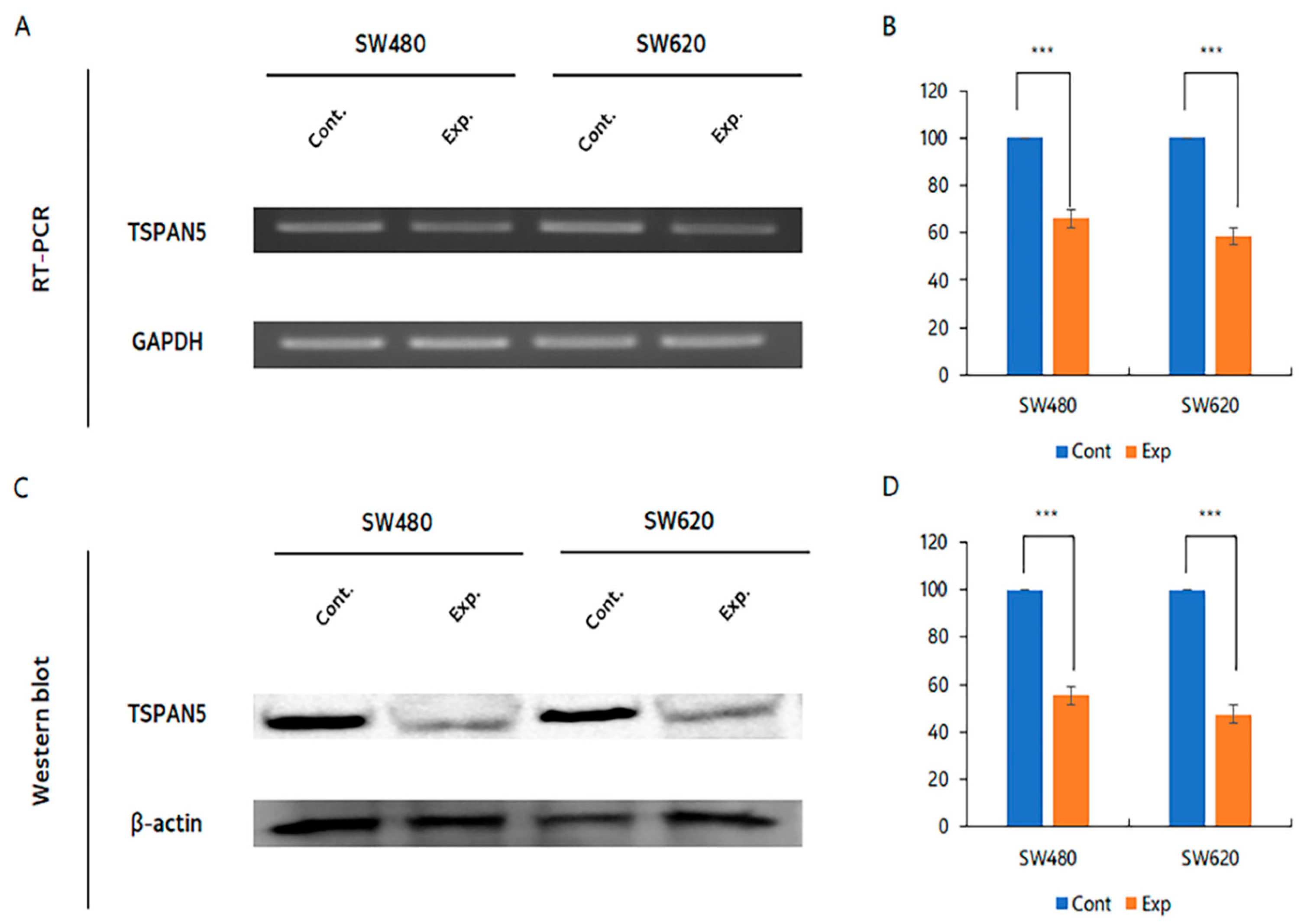 Ijms 24 06476 g002 Ijms 24 06476 g002